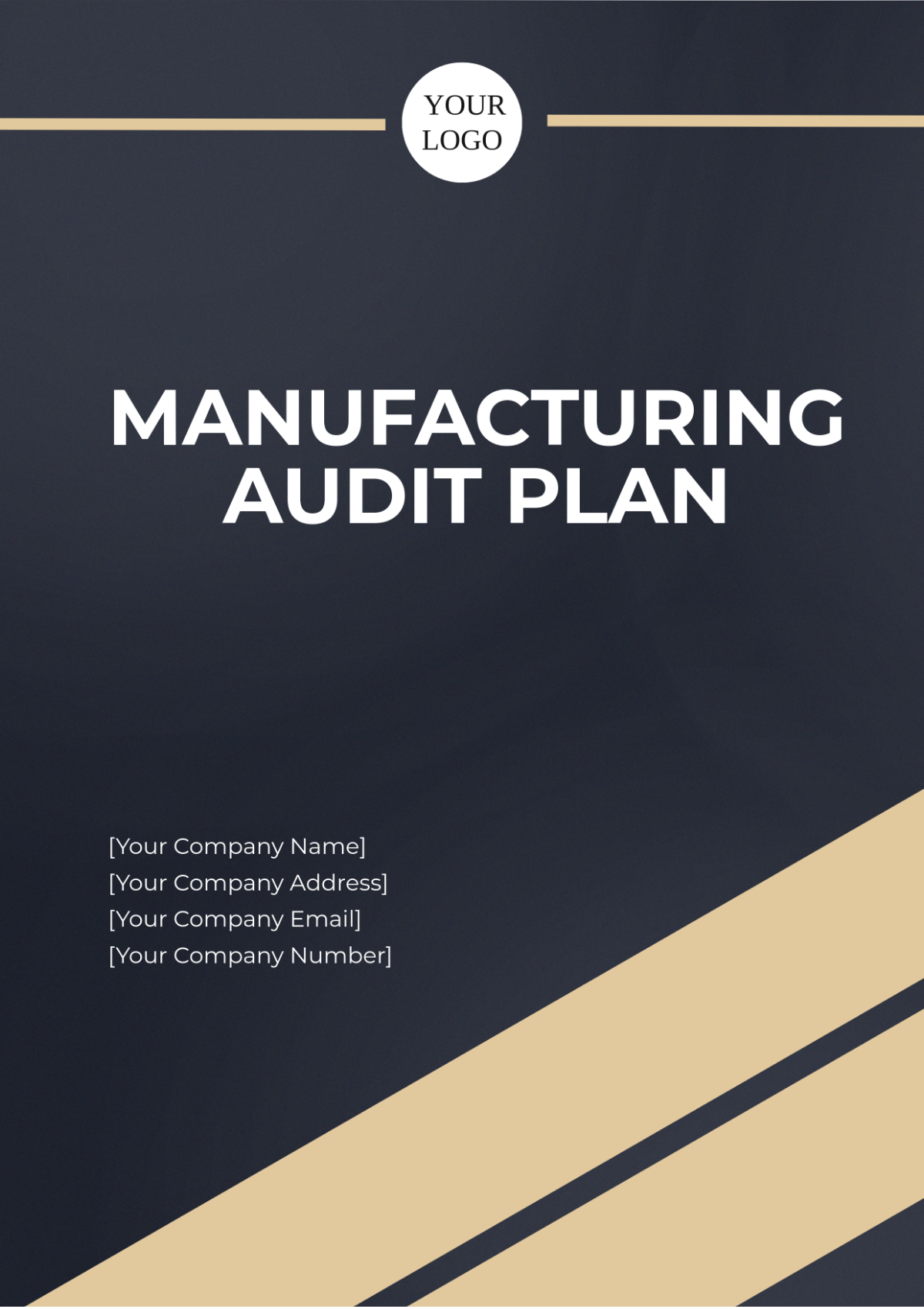 Manufacturing Audit Plan Template - Edit Online & Download