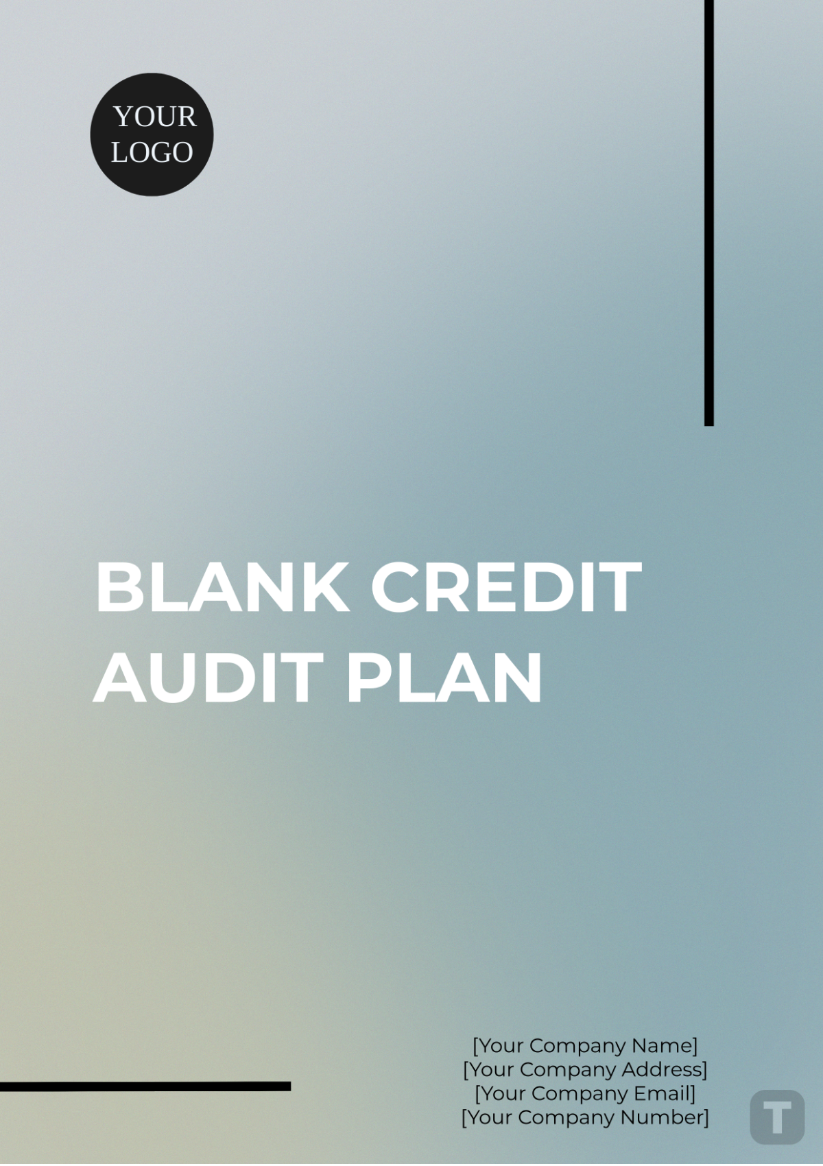 Blank Credit Audit Plan Template - Edit Online & Download