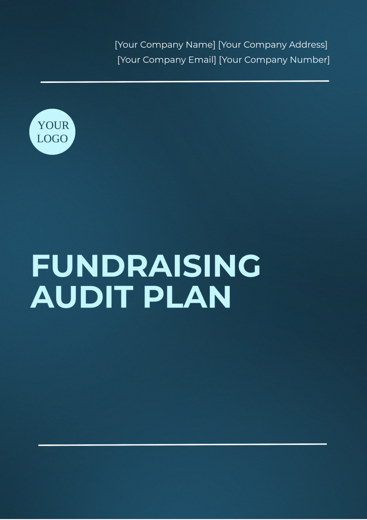 Fundraising Audit Plan Template - Edit Online & Download