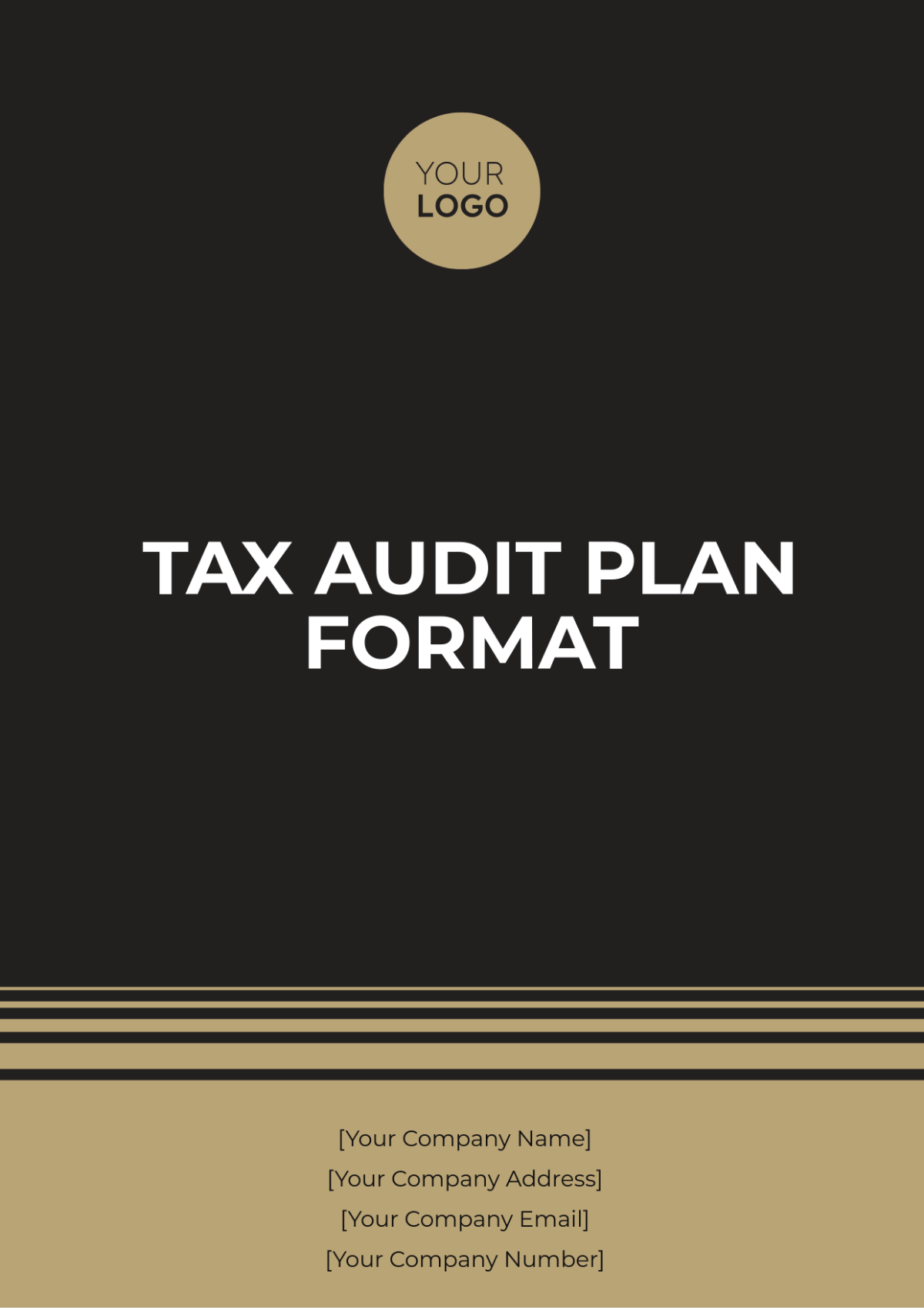 Tax Audit Plan Format Template - Edit Online & Download