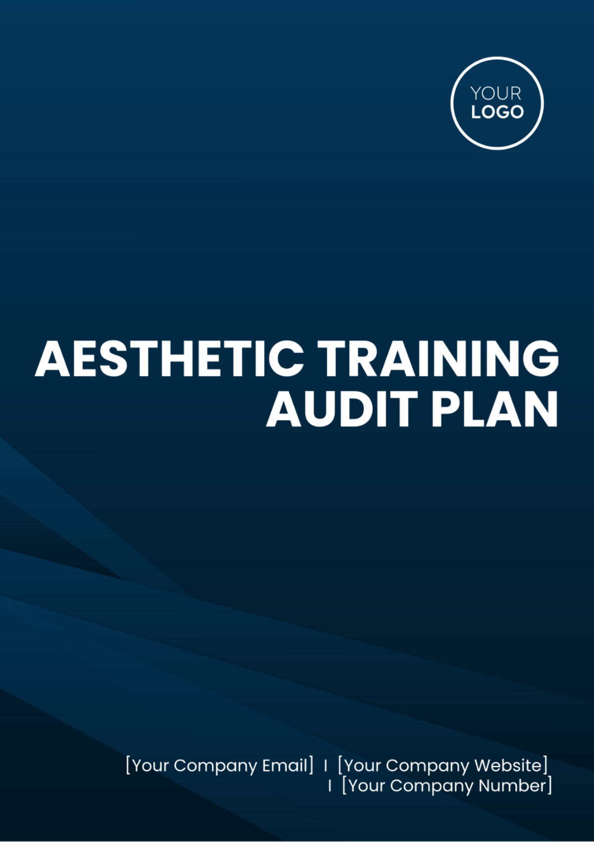 Aesthetic Training Audit Plan Template - Edit Online & Download