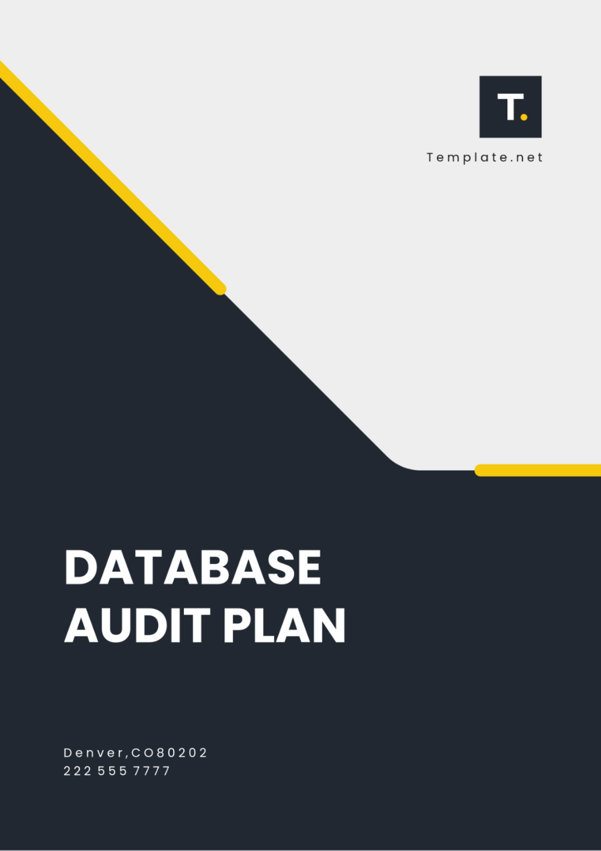 Database Audit Plan Template - Edit Online & Download