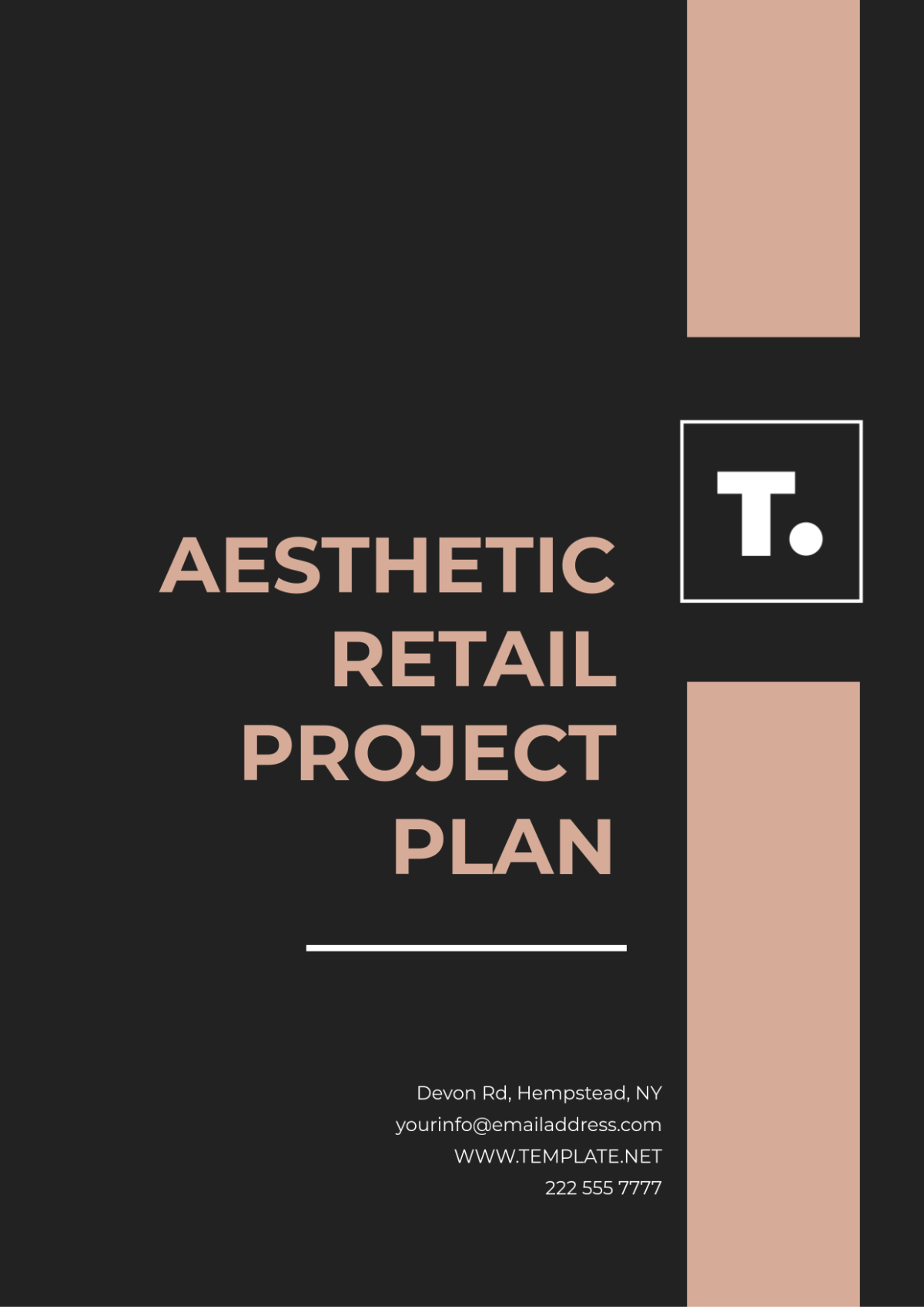 Aesthetic Retail Project Plan Template