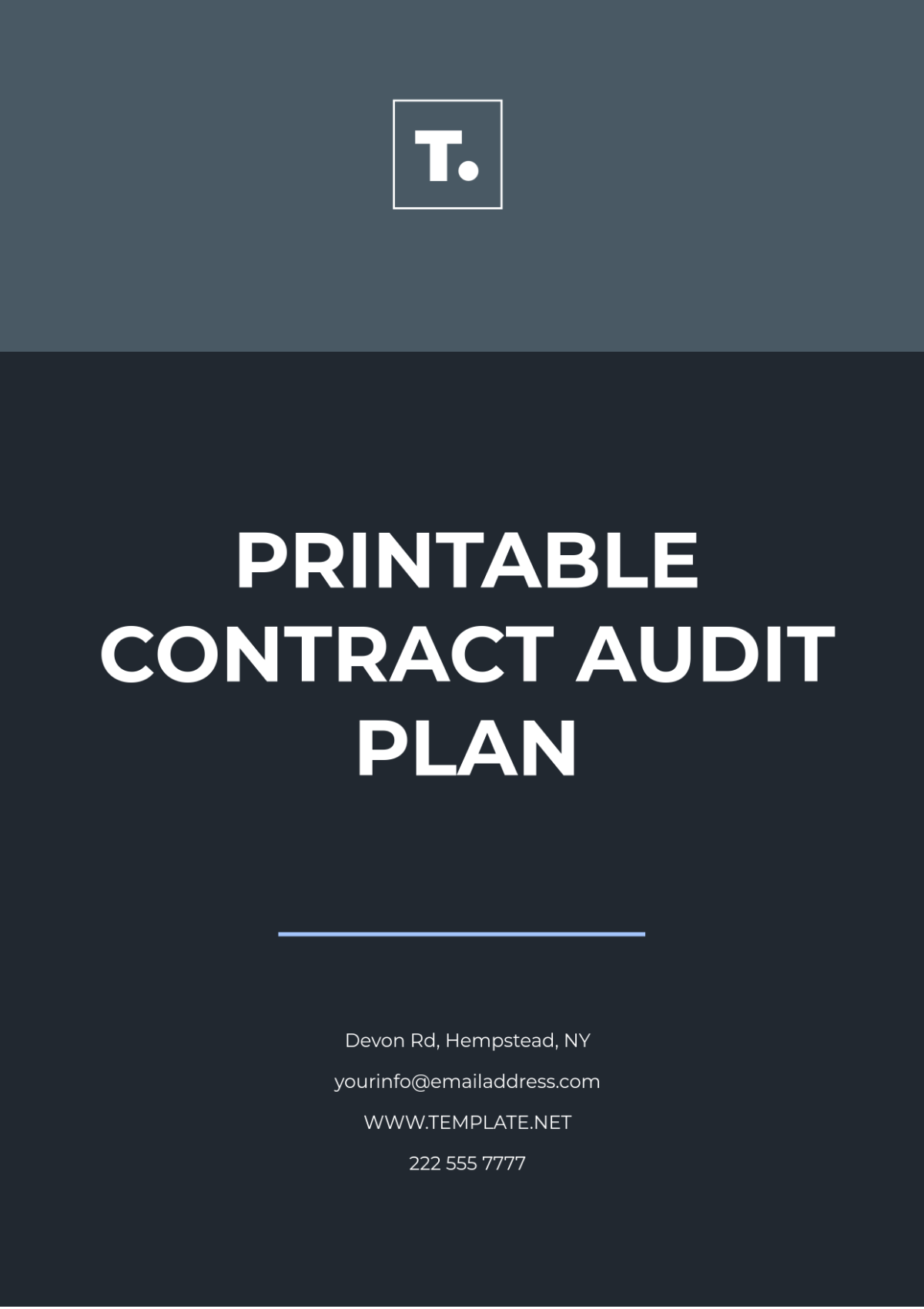 Printable Contract Audit Plan Template - Edit Online & Download