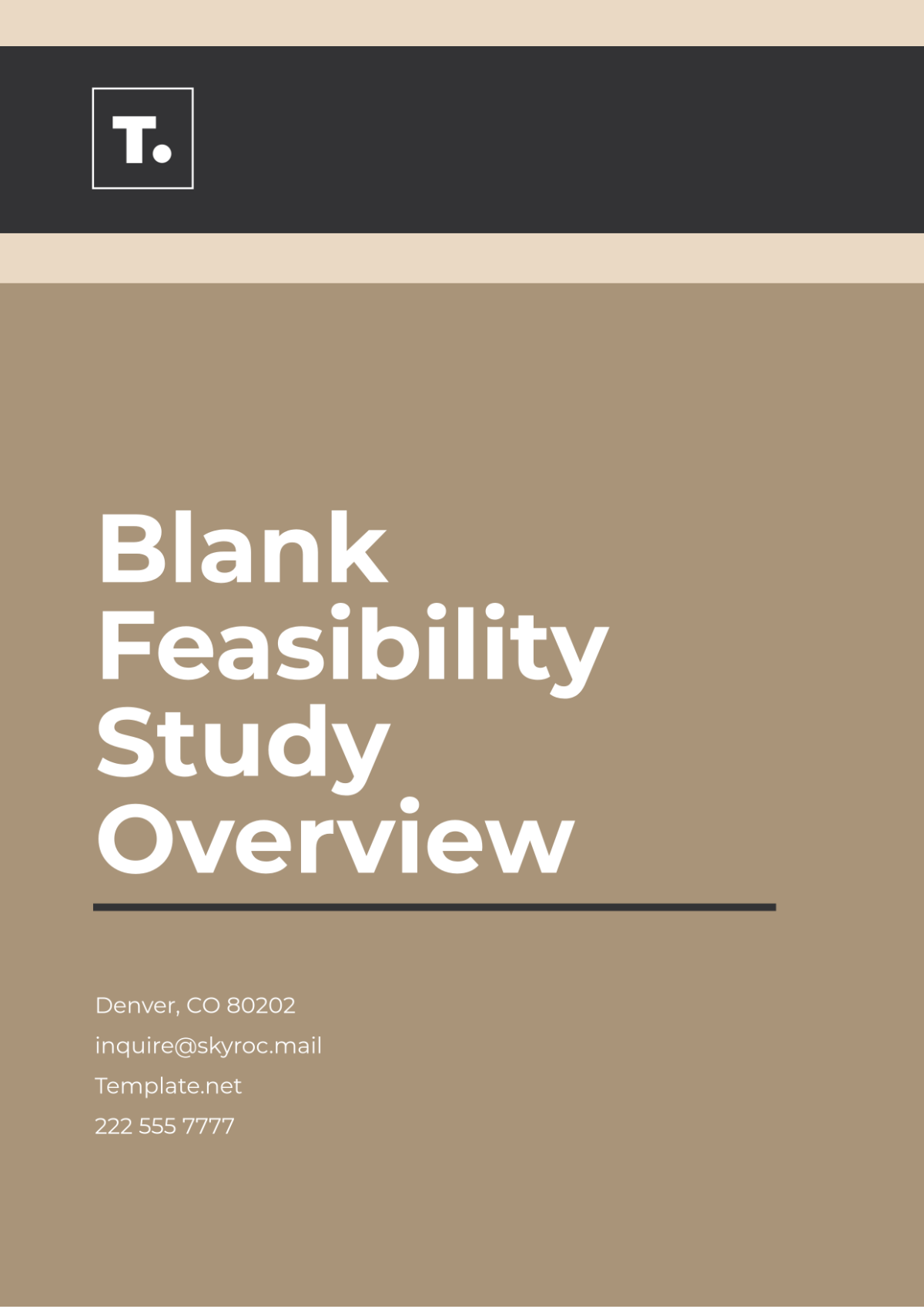 Blank Feasibility Study Overview Template - Edit Online & Download