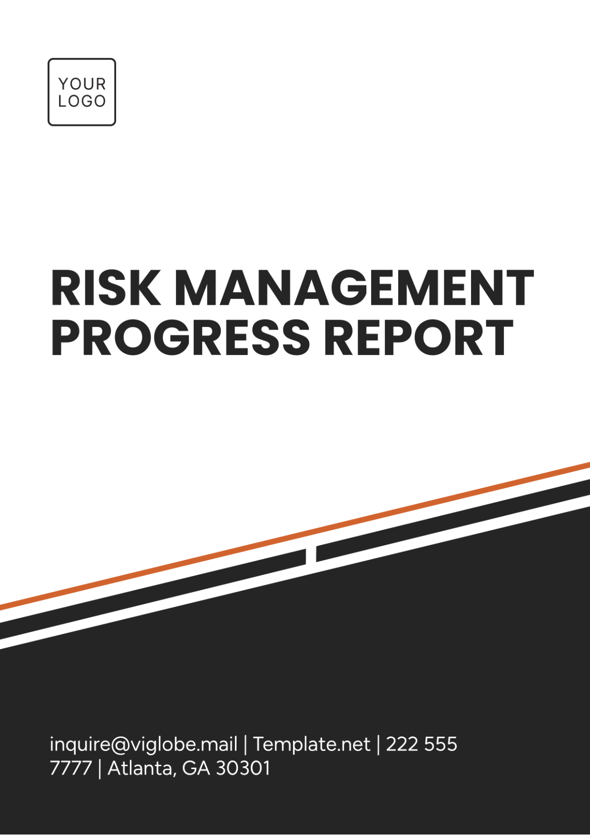 Risk Management Progress Report Template