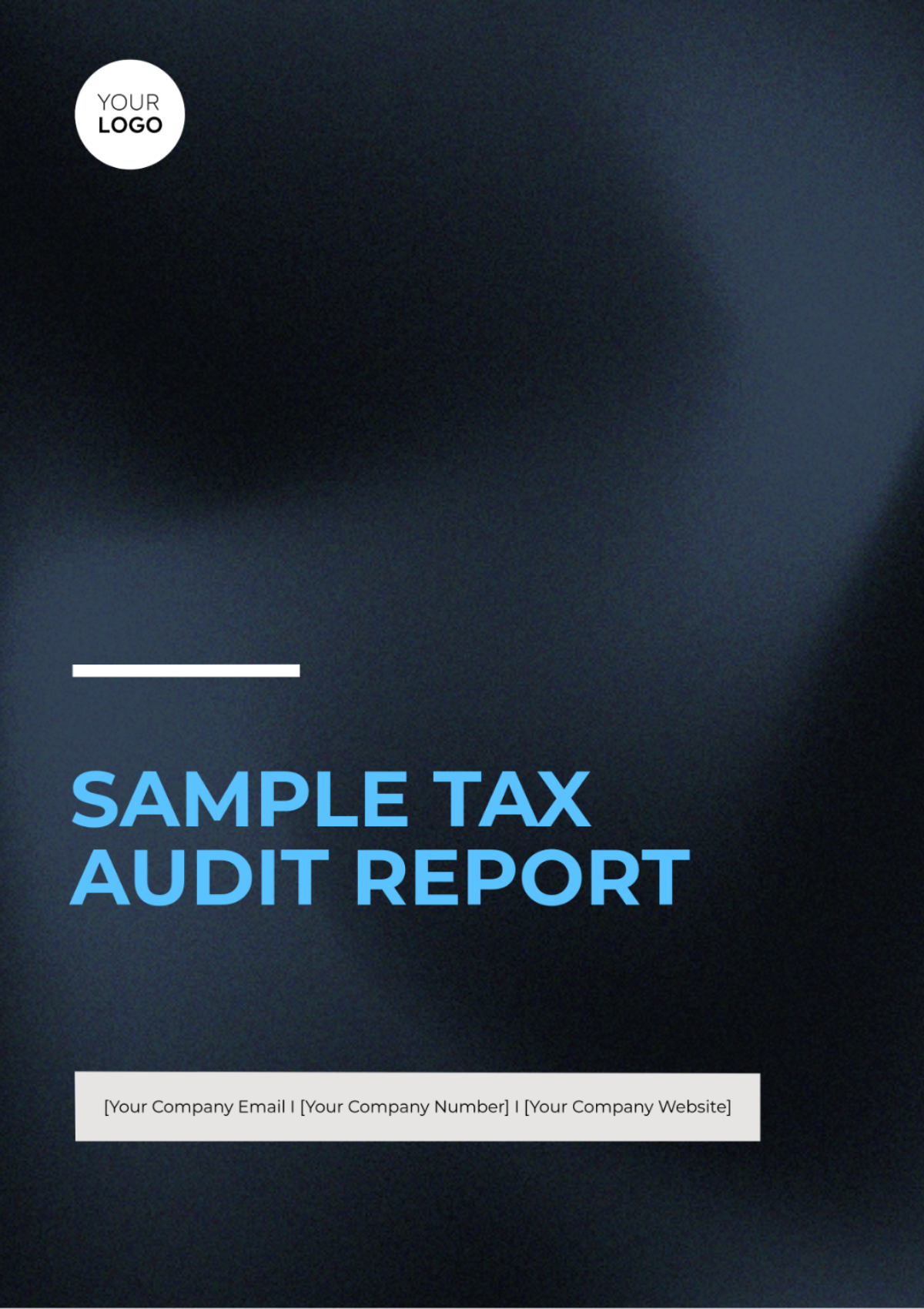 Sample Tax Audit Report Template - Edit Online & Download