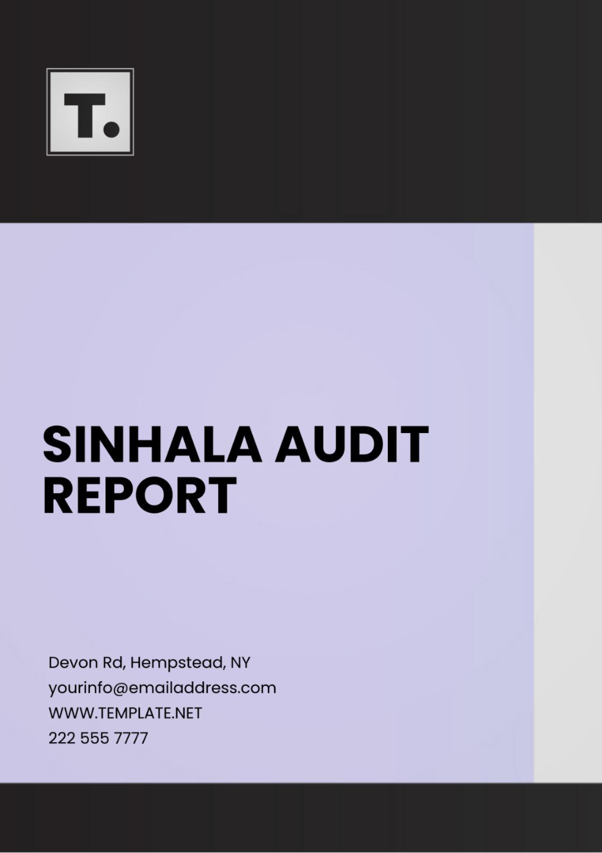 Sinhala Audit Report Template