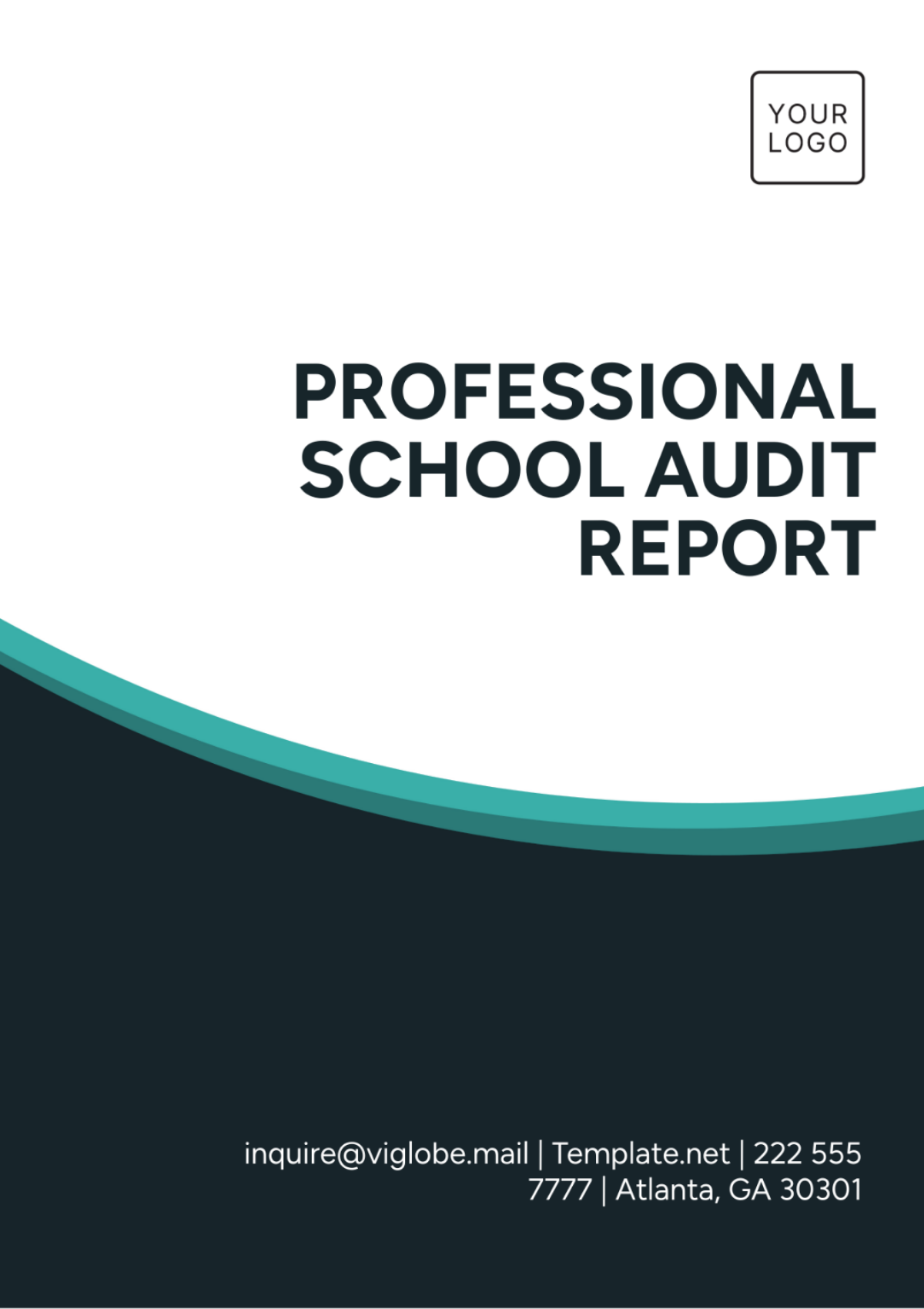 Professional School Audit Report Template