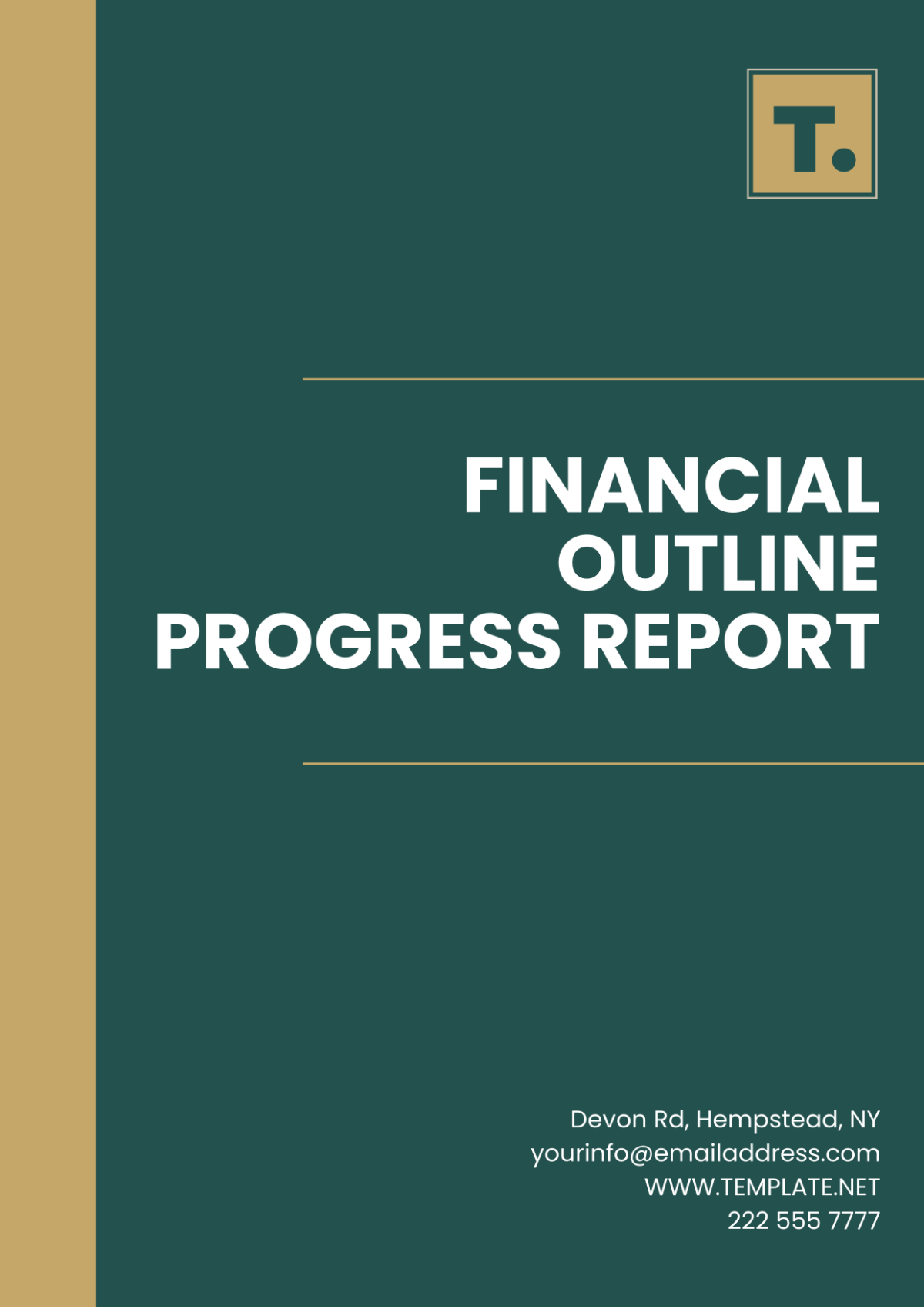 Financial Outline Progress Report Template