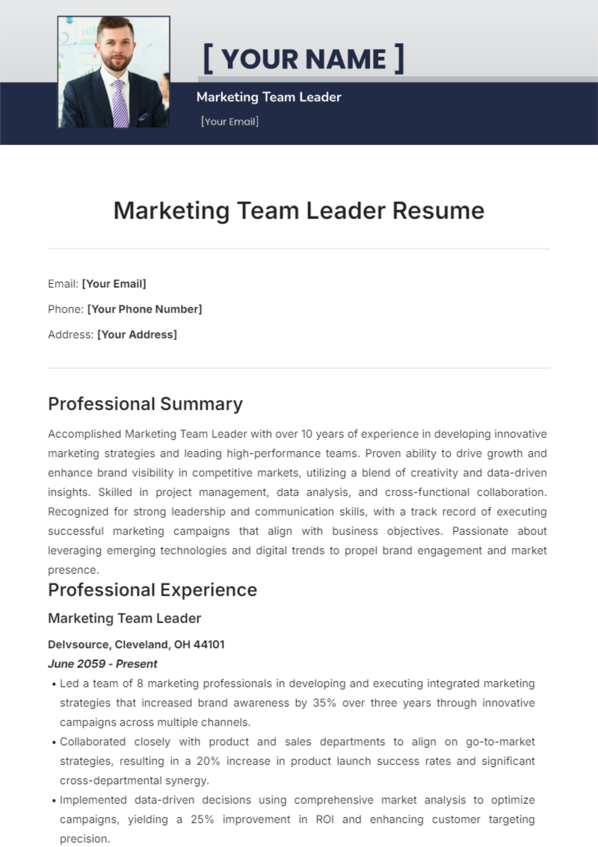 Marketing Team Leader Resume Template