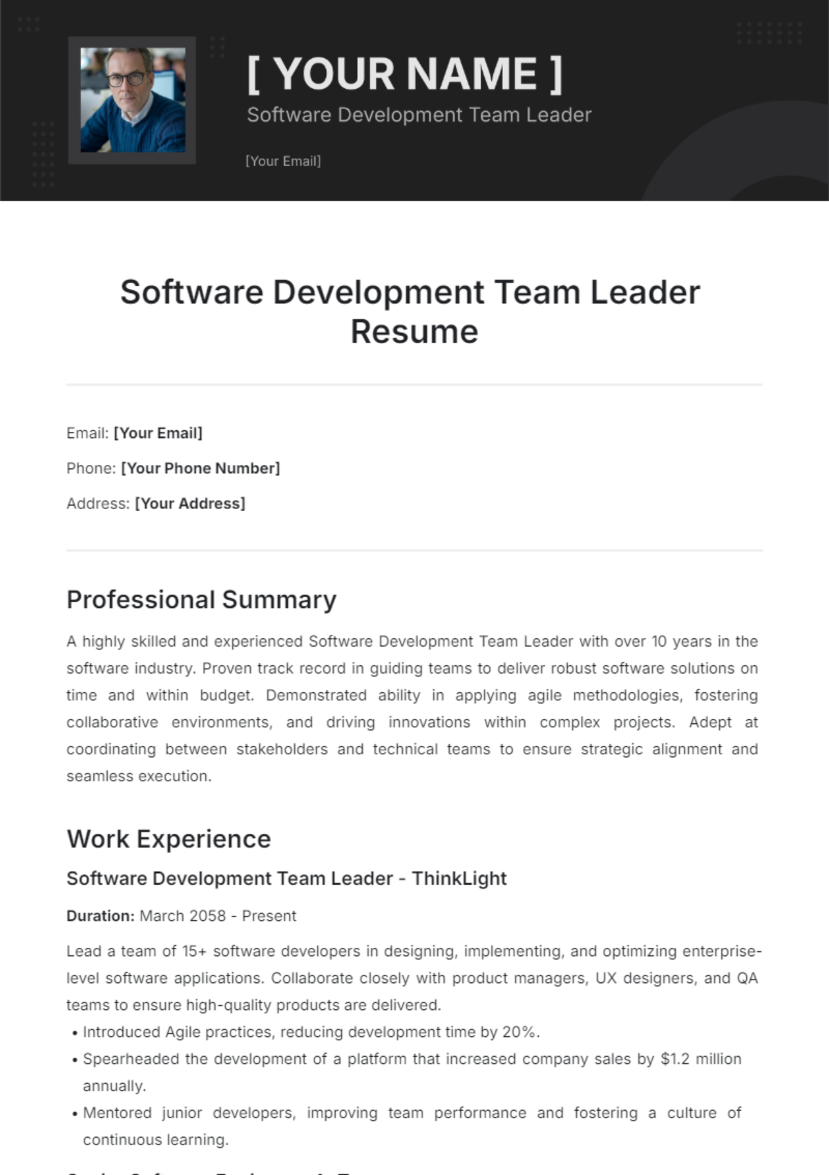 Software Development Team Leader Resume Template