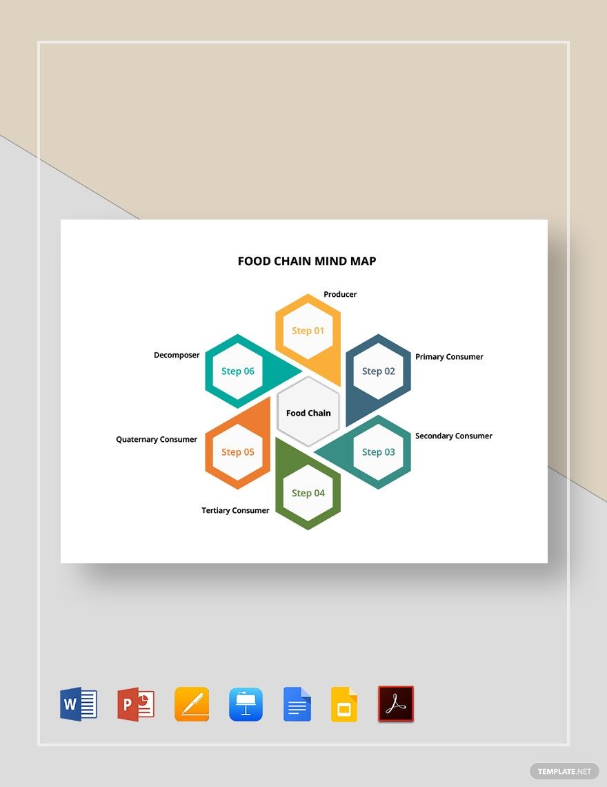 Food Chain Mind Map Template in Google Docs, Google Slides, PDF, Word, Pages, PowerPoint, Apple Keynote - Download | Template.net