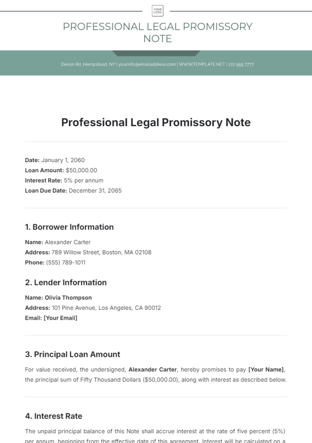 Professional Legal Promissory Note Template