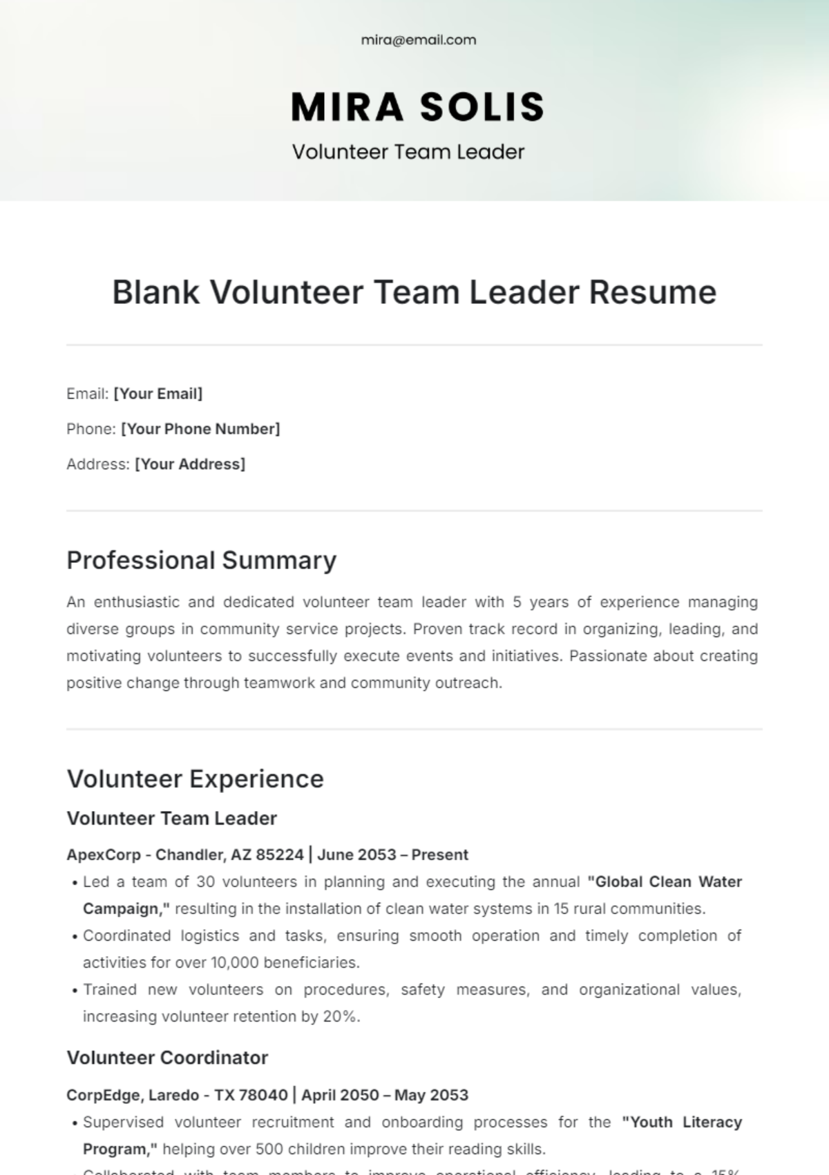 Blank Volunteer Team Leader Resume Template - Edit Online & Download