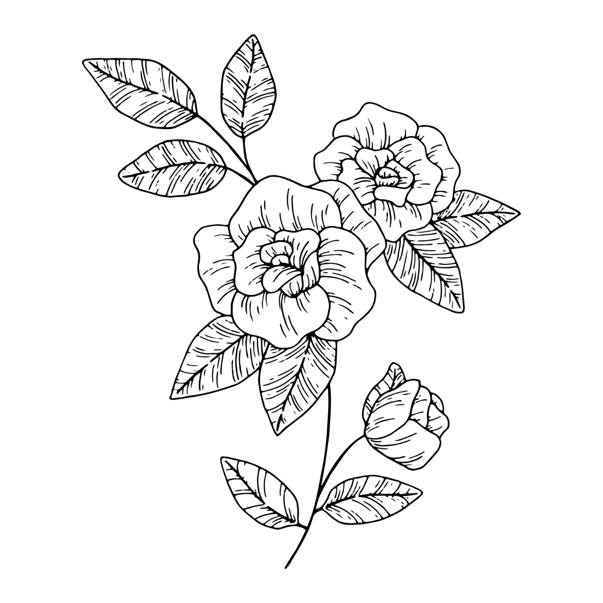 Floral Outline Clipart