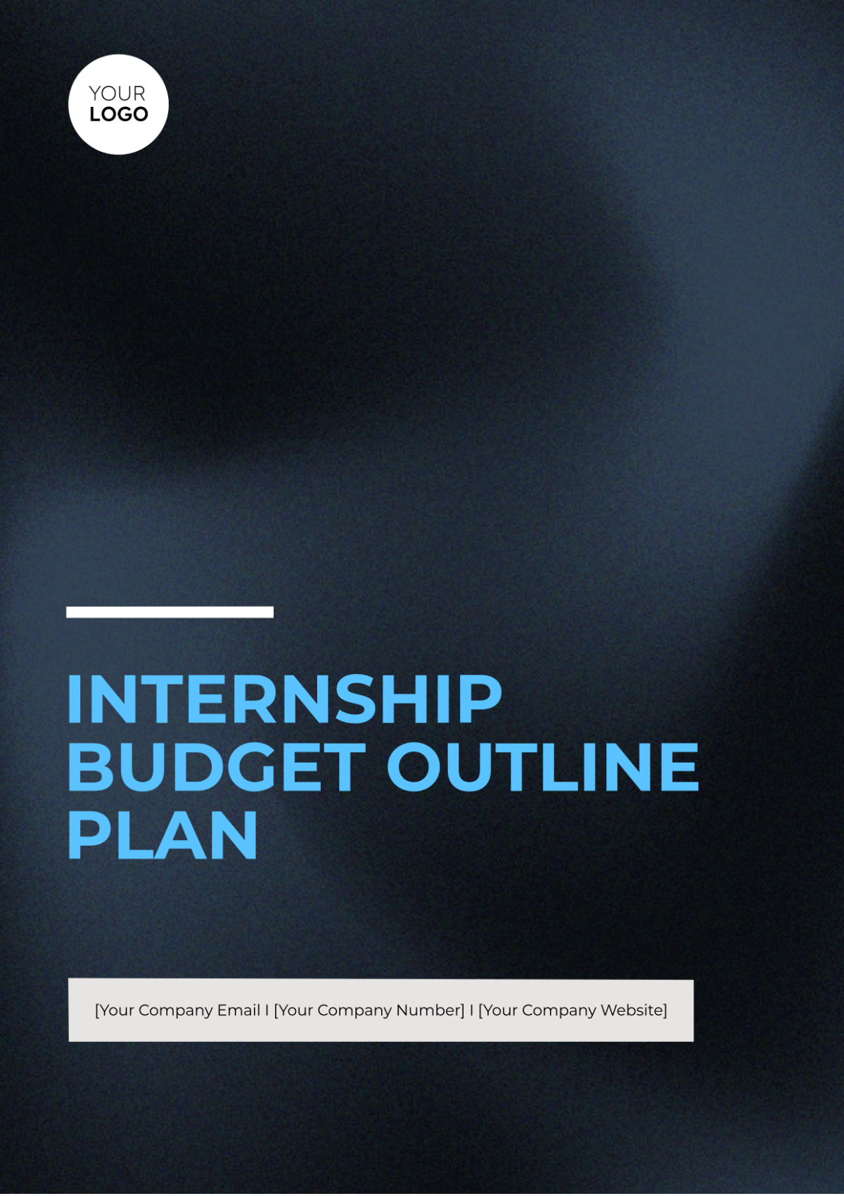 Internship Budget Outline Plan Template - Edit Online & Download