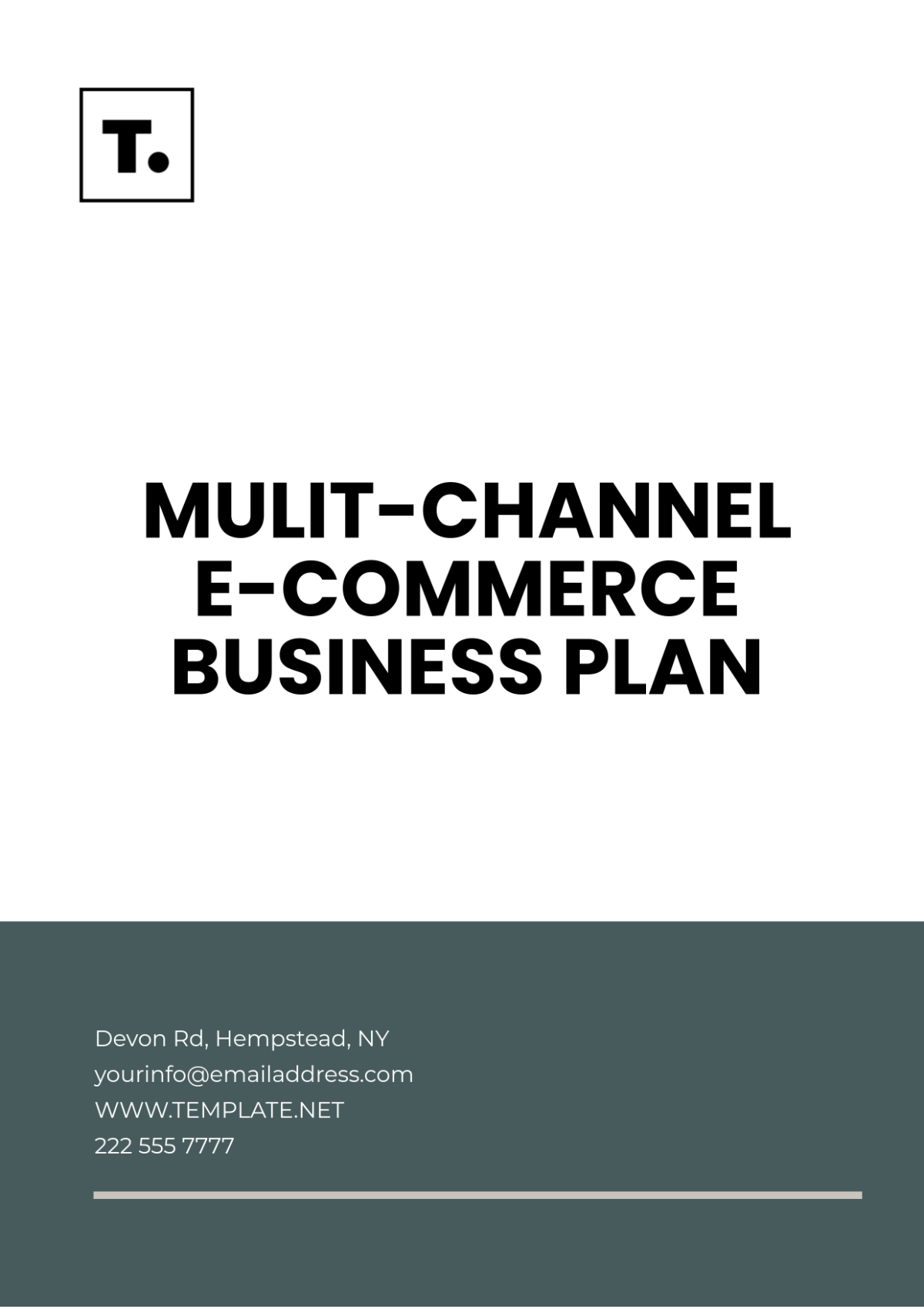 Multi-Channel E-Commerce Business Plan Template - Edit Online & Download