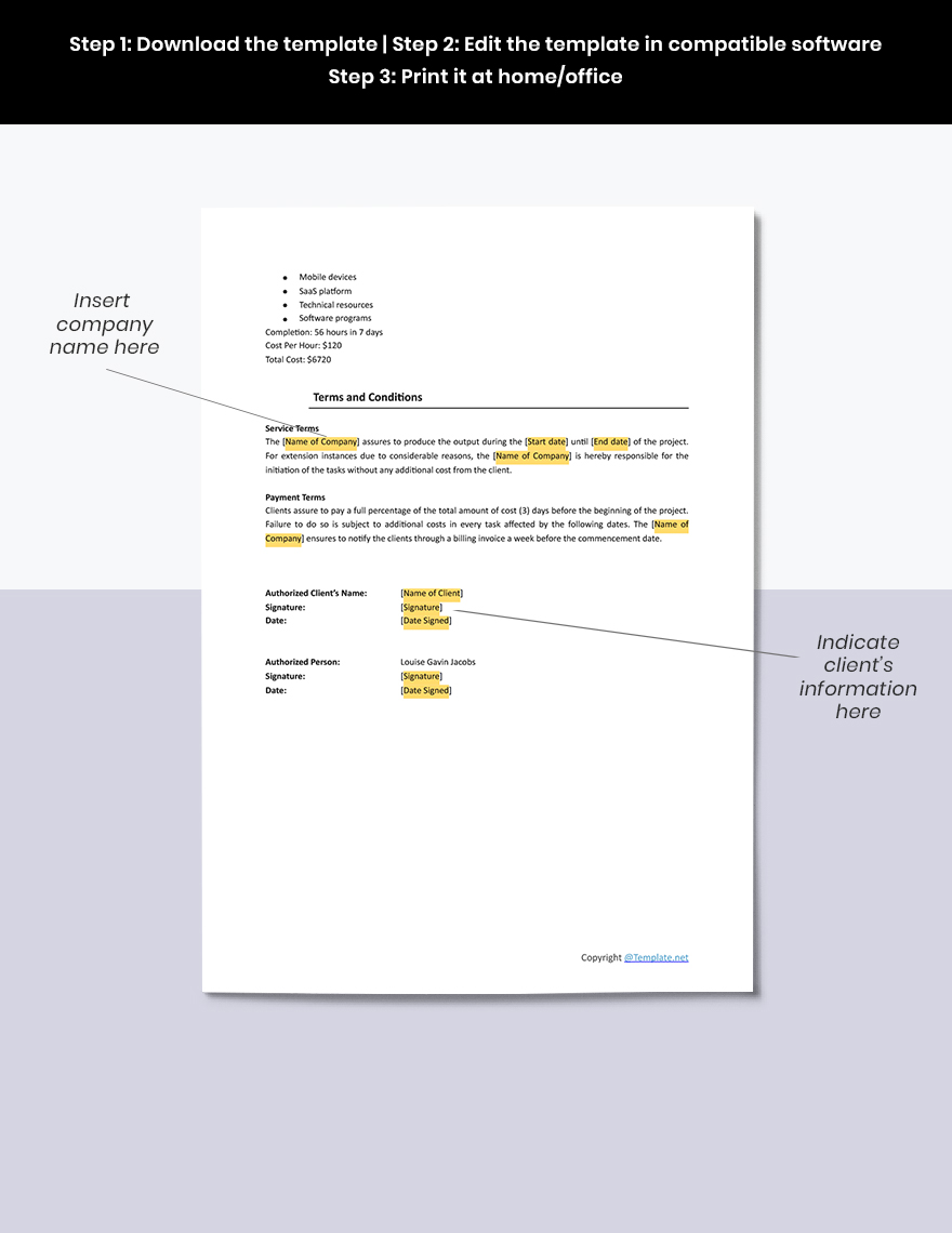 Simple Software Statement Template