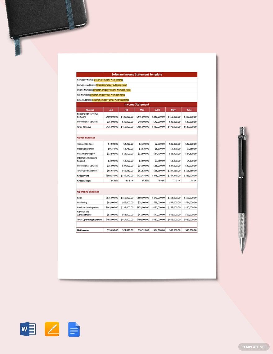 Software Income Statement Template