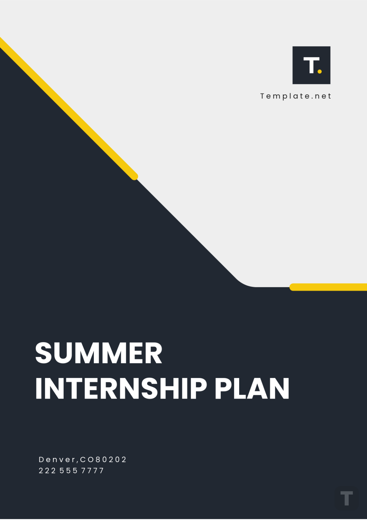 Summer Internship Plan Template - Edit Online & Download