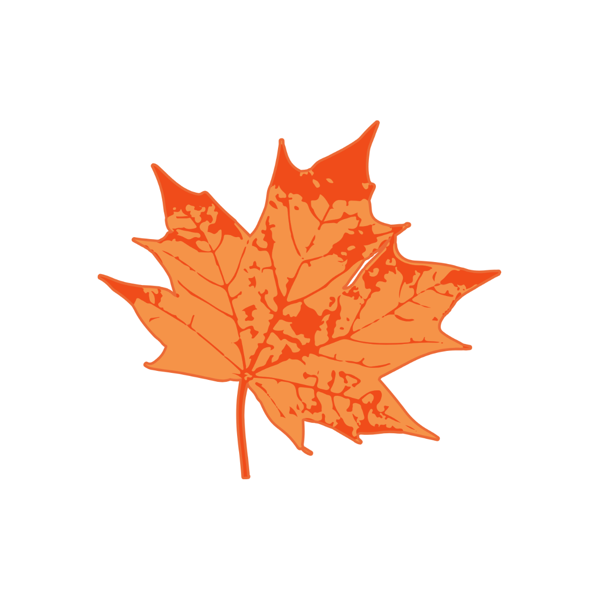 Maple Leaves Clipart