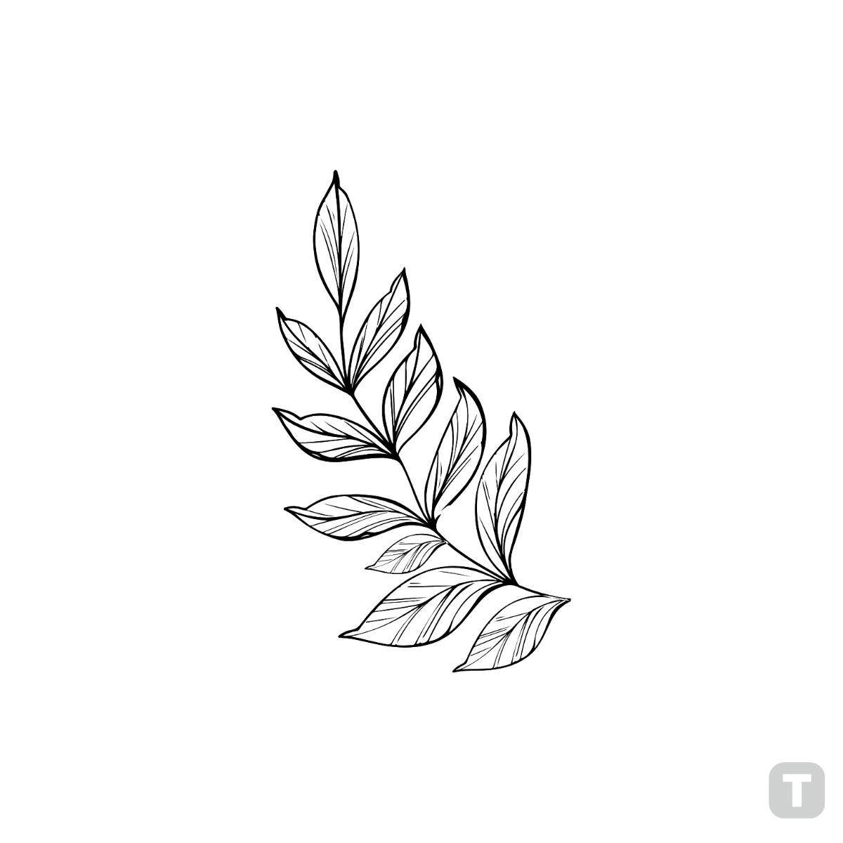 Hand-drawn Leaves Clipart - Edit Online | Template.net