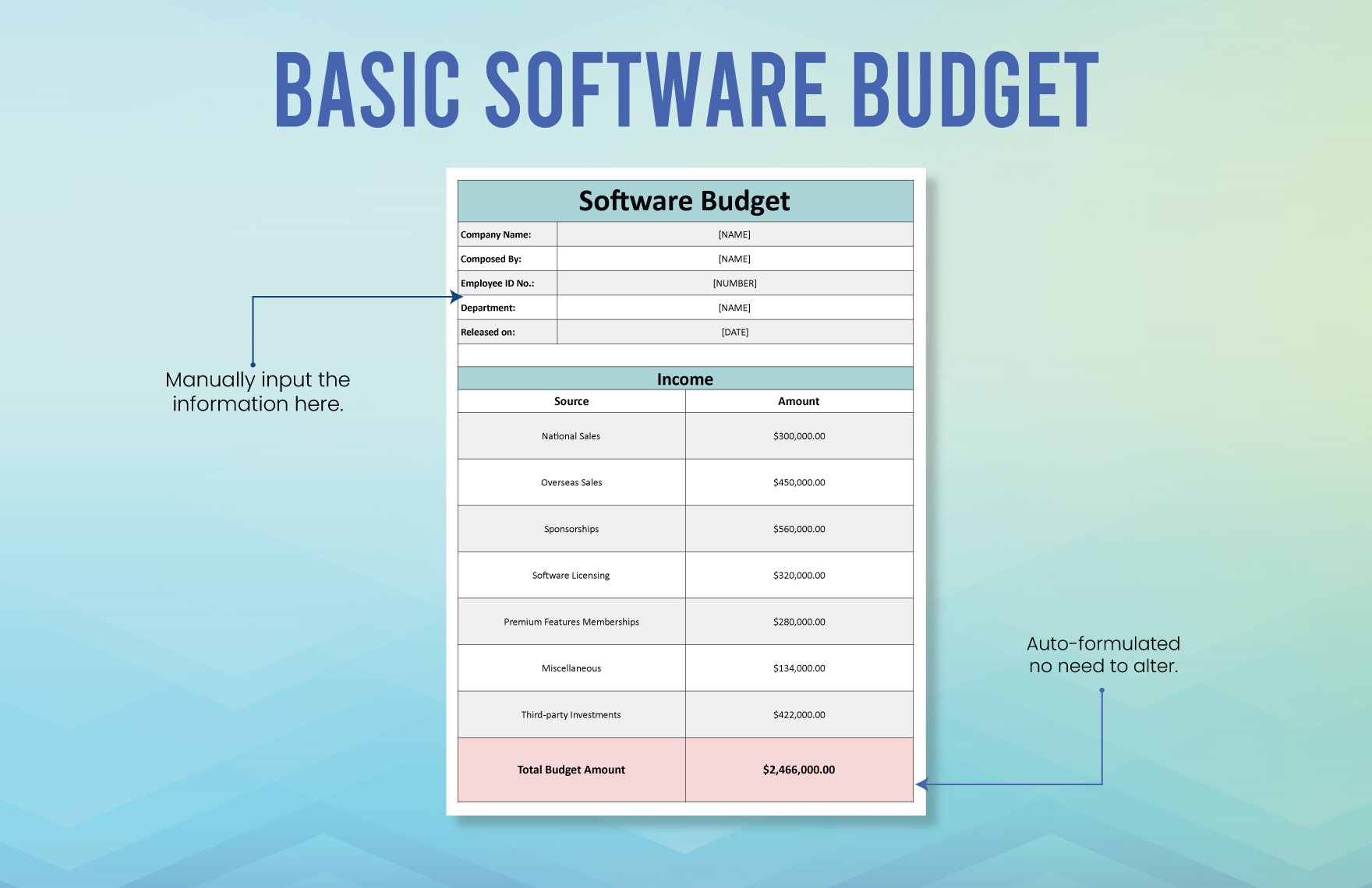 Basic Software Budget Template