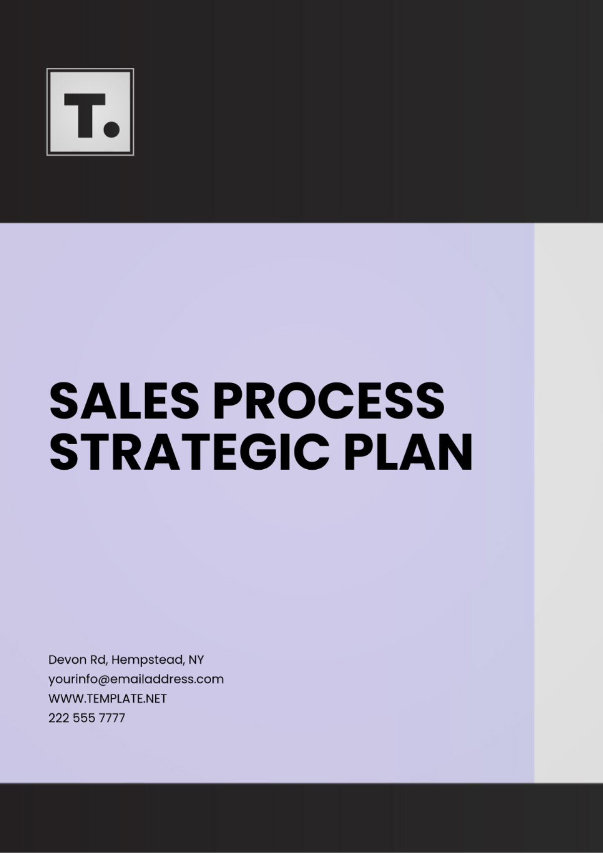 Sales Process Strategic Plan Template