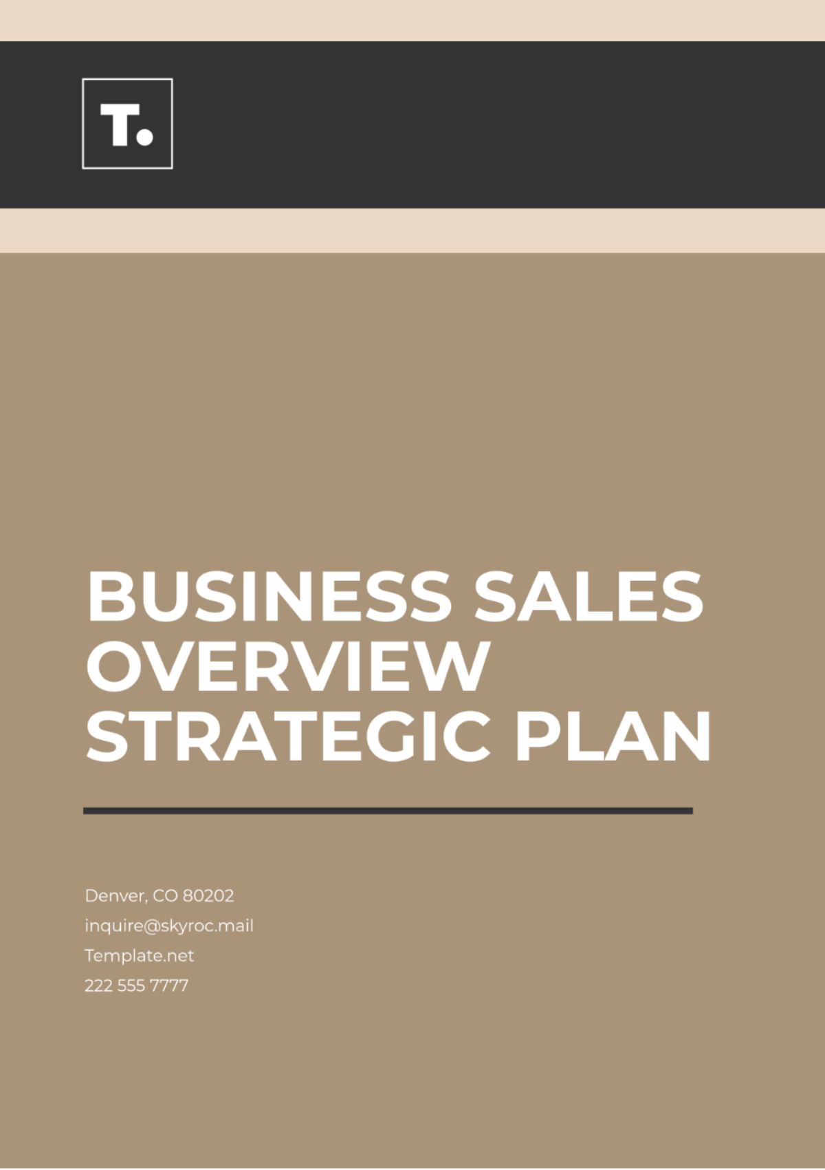 Business Sales Overview Strategic Plan Template - Edit Online & Download