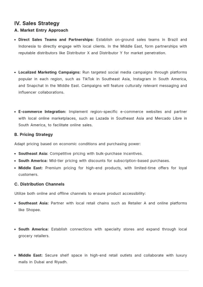 Free International Sales Strategic Plan Template to Edit Online