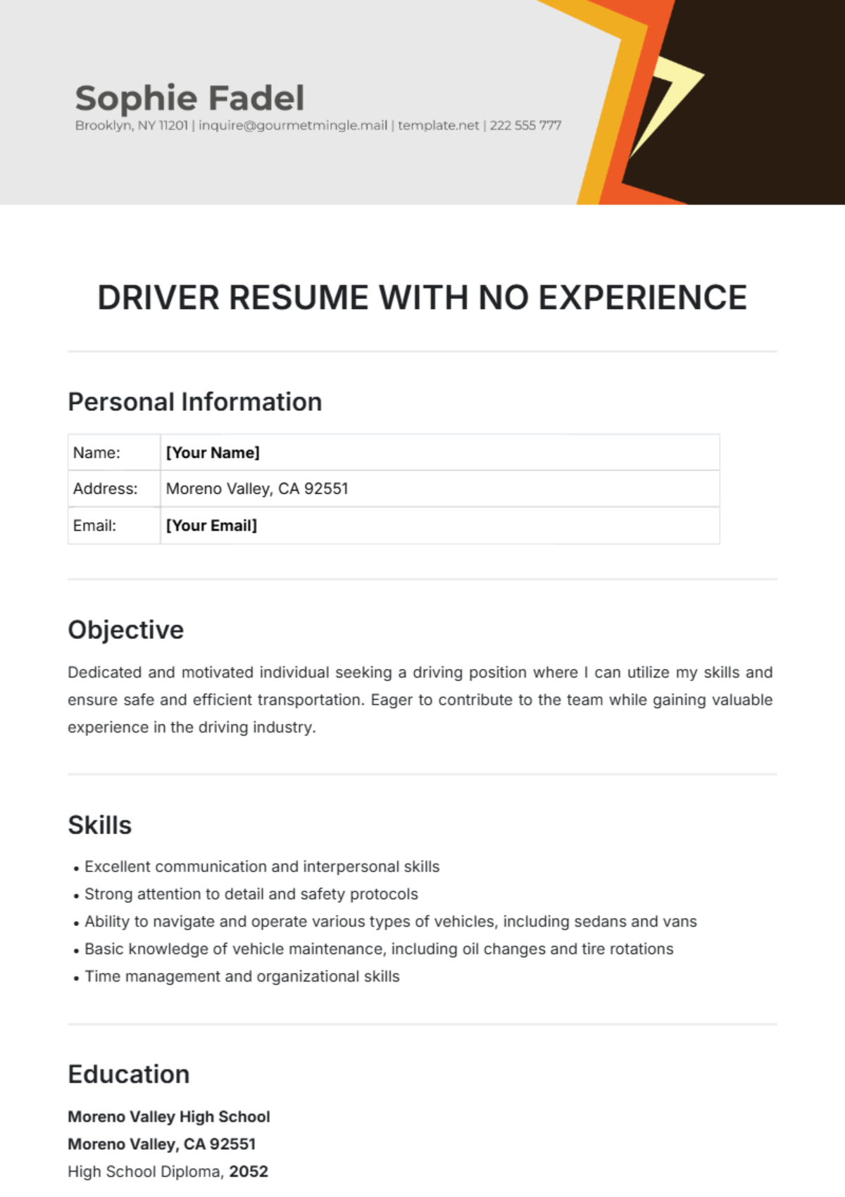 Driver Resume with No Experience Template - Edit Online & Download