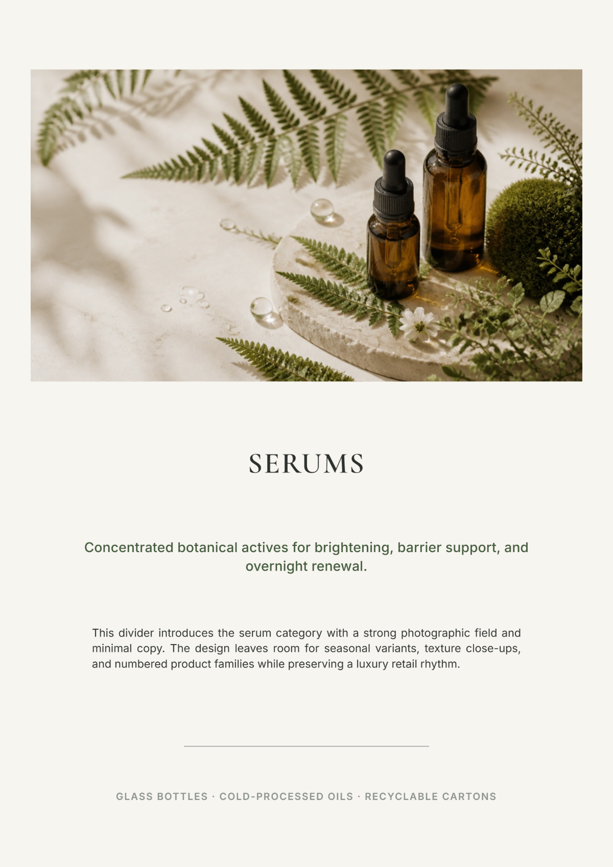 Free Product Catalog Template to Edit Online