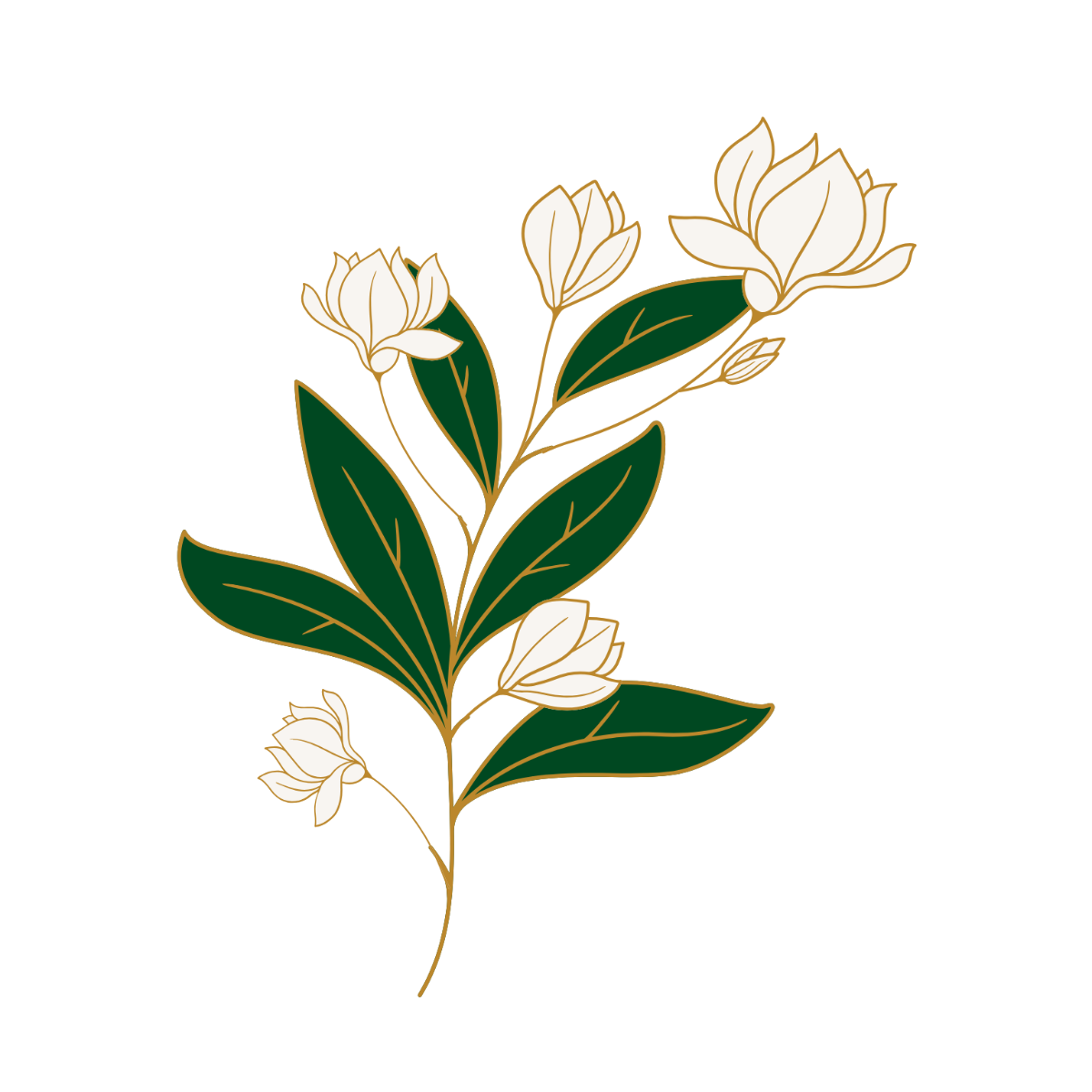 Floral Leaves Clipart