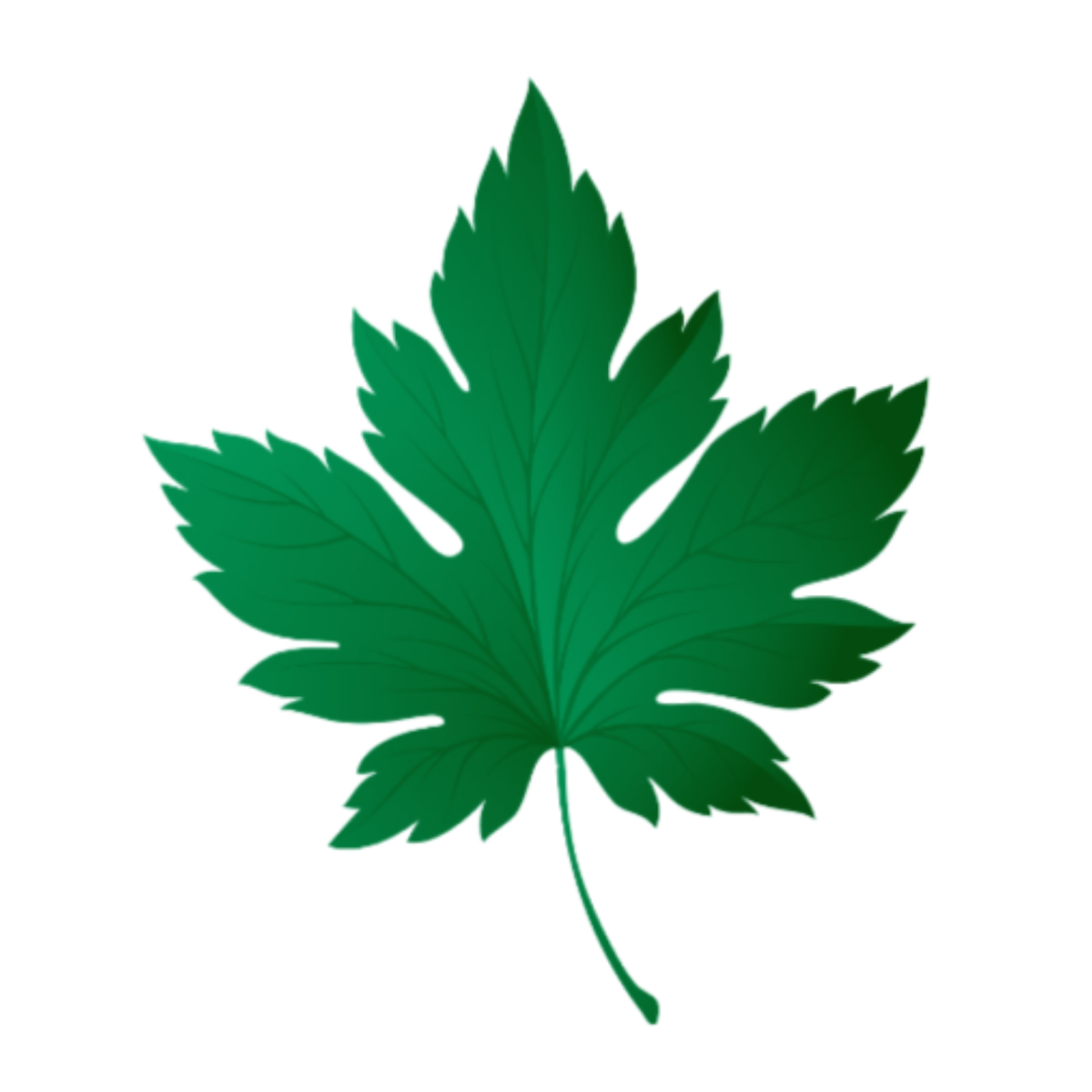 Realistic Leaves Clipart