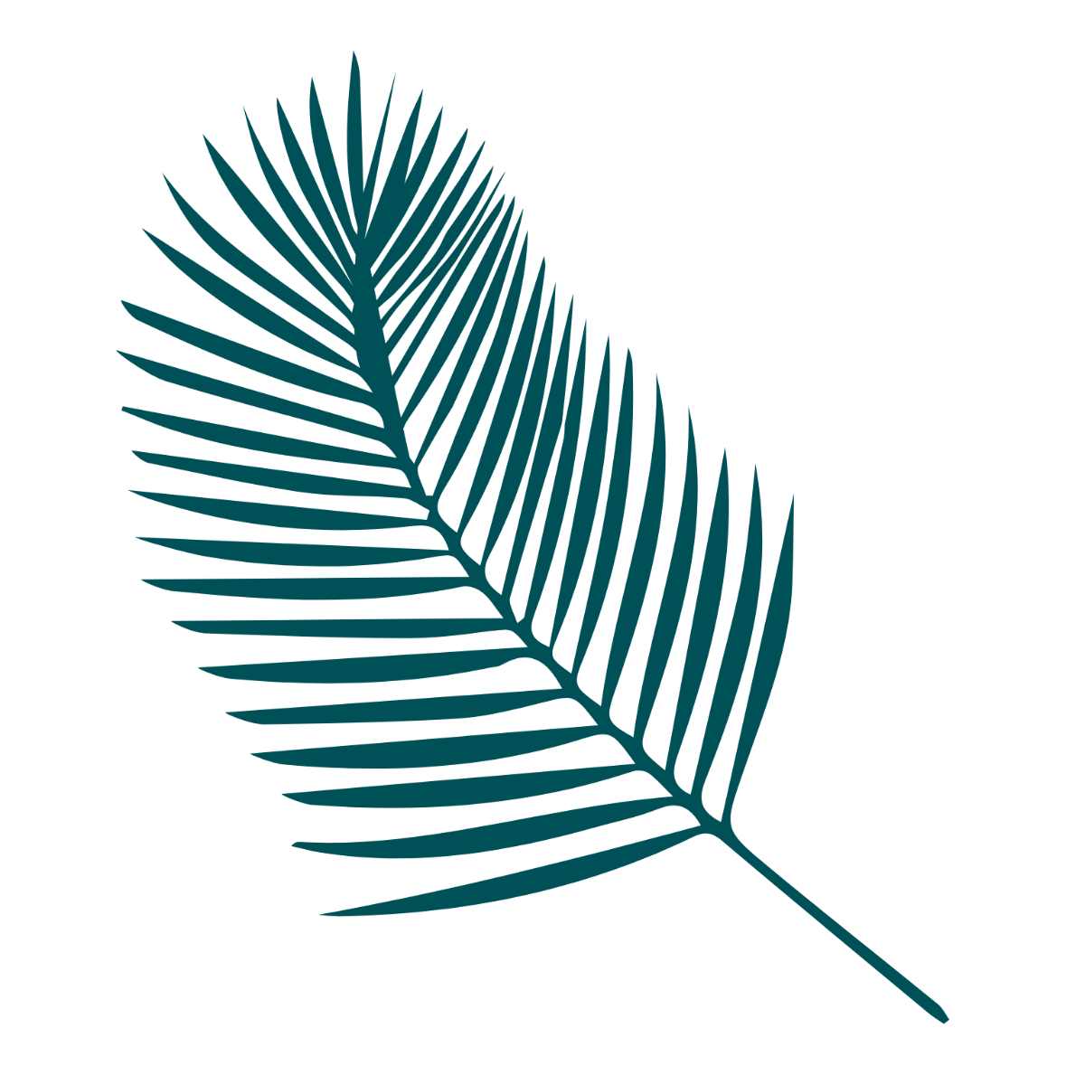 Palm Leaves Clipart