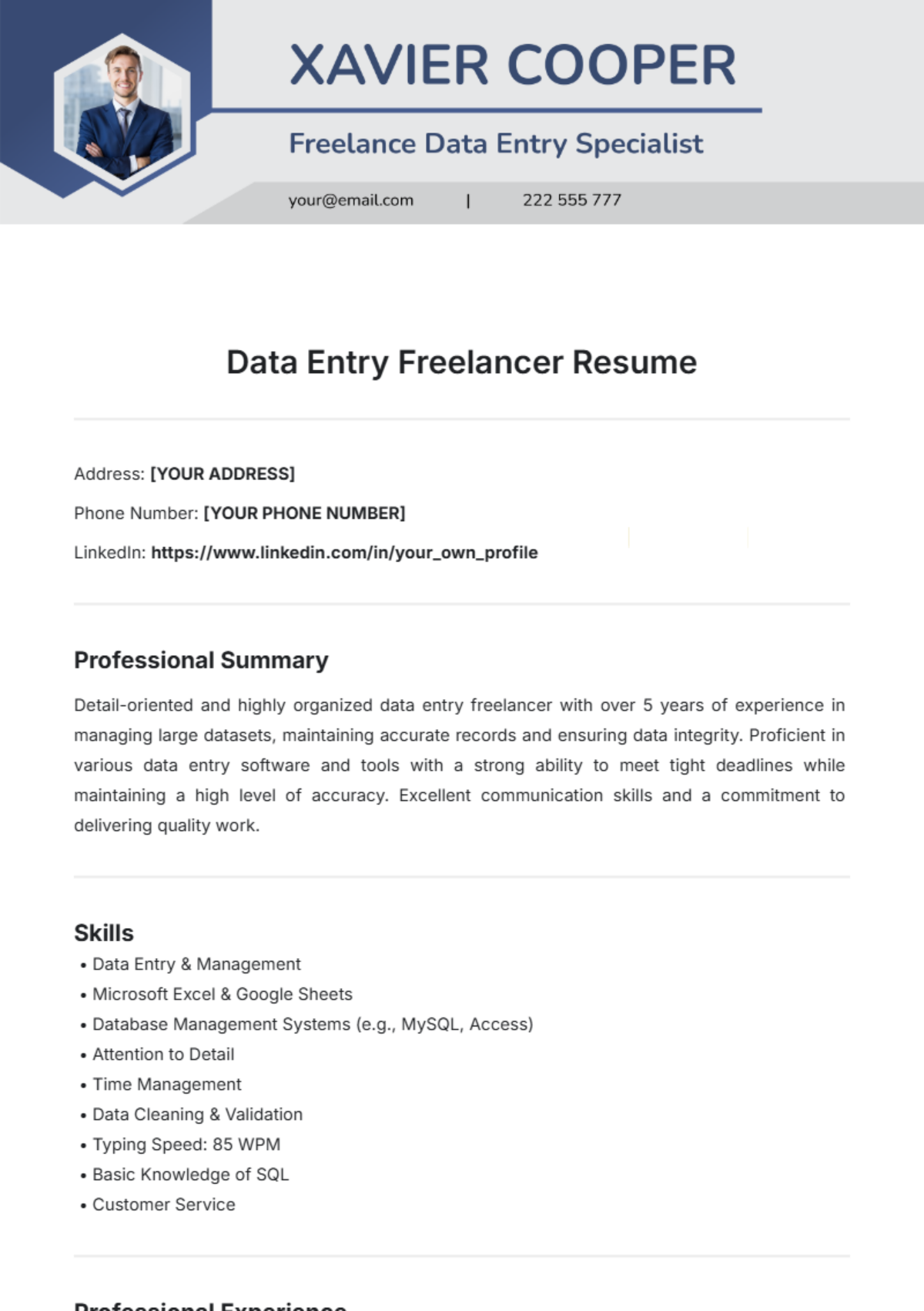 Data Entry Freelancer Resume Template - Edit Online & Download