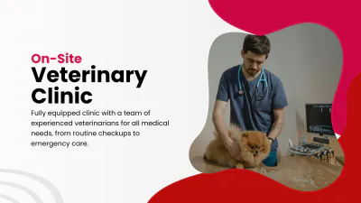Free Pet Care Presentation Template to Edit Online
