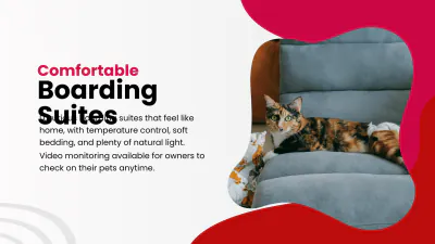 Free Pet Care Presentation Template to Edit Online