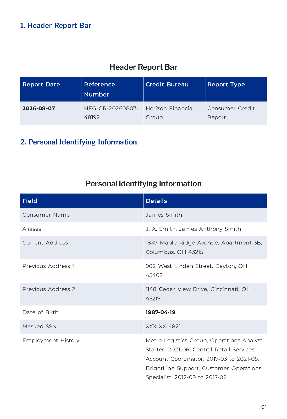 Free Credit Report Template to Edit Online