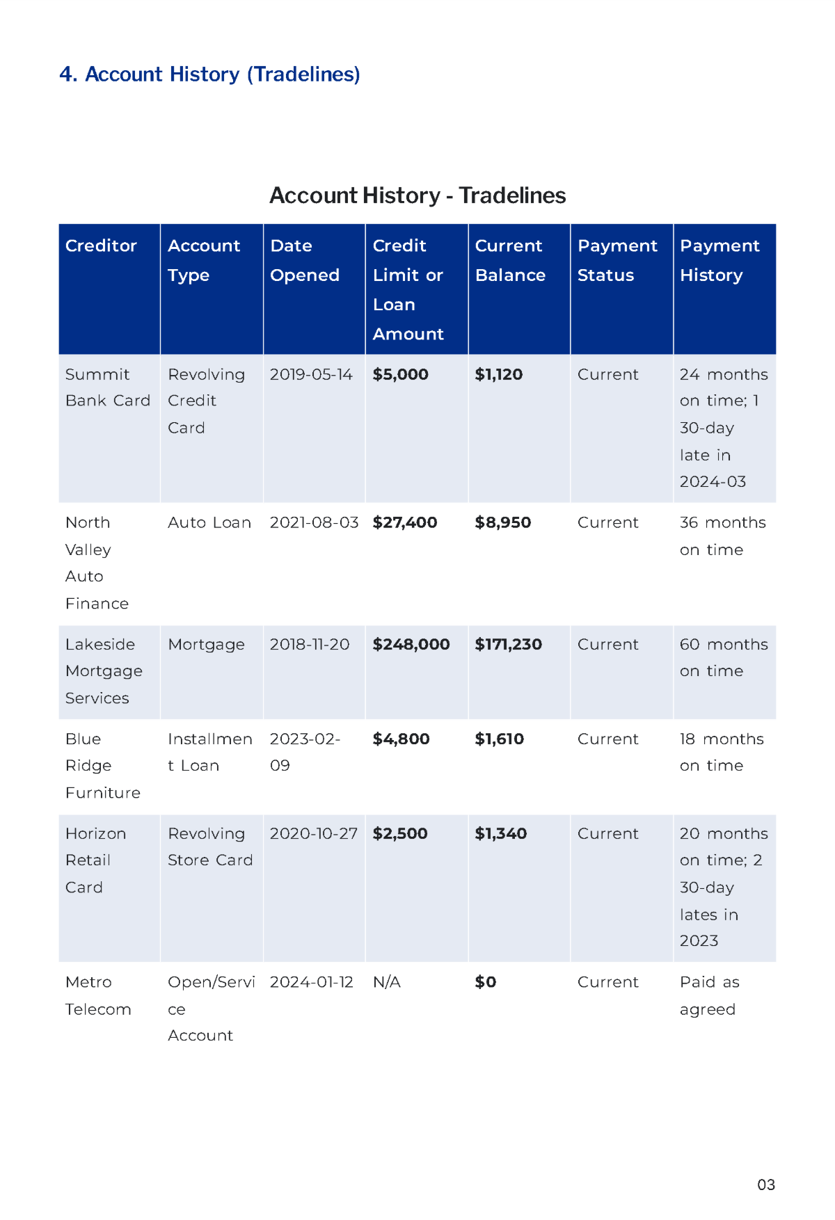 Free Credit Report Template to Edit Online