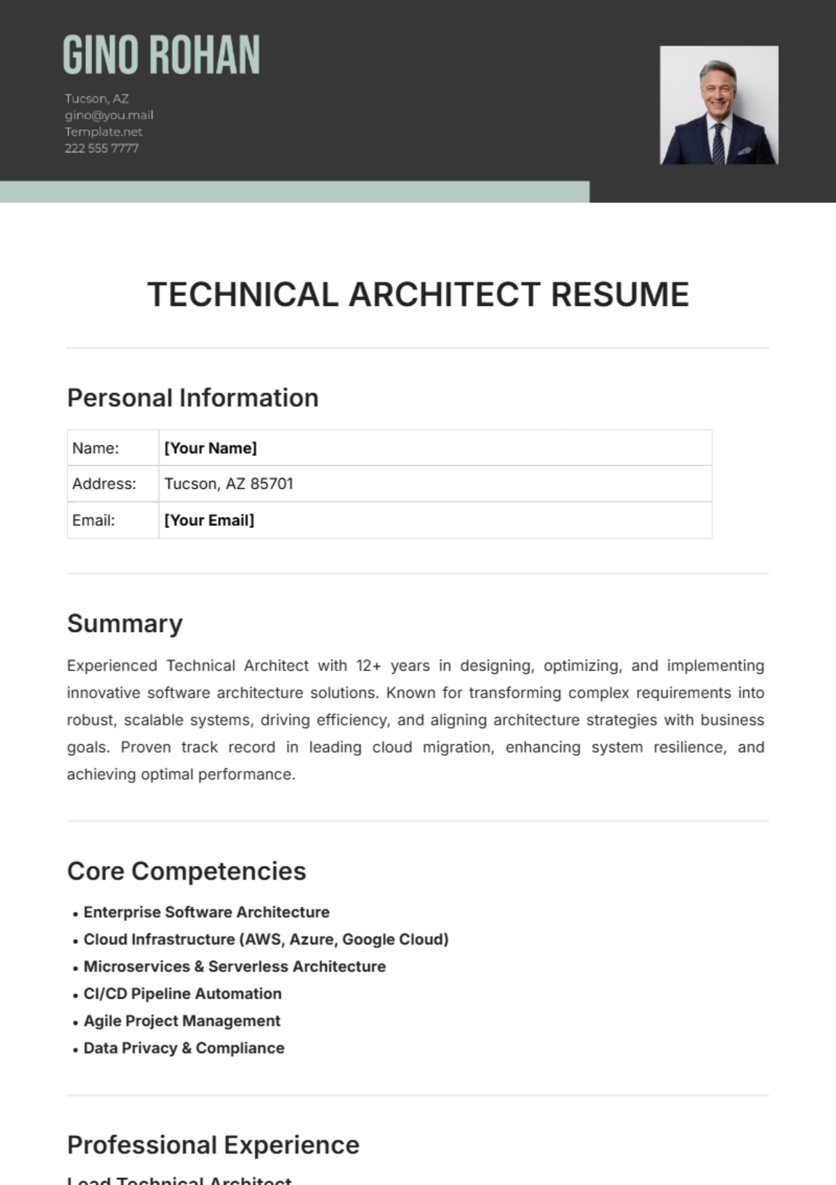 Technical Architect Resume Template - Edit Online & Download