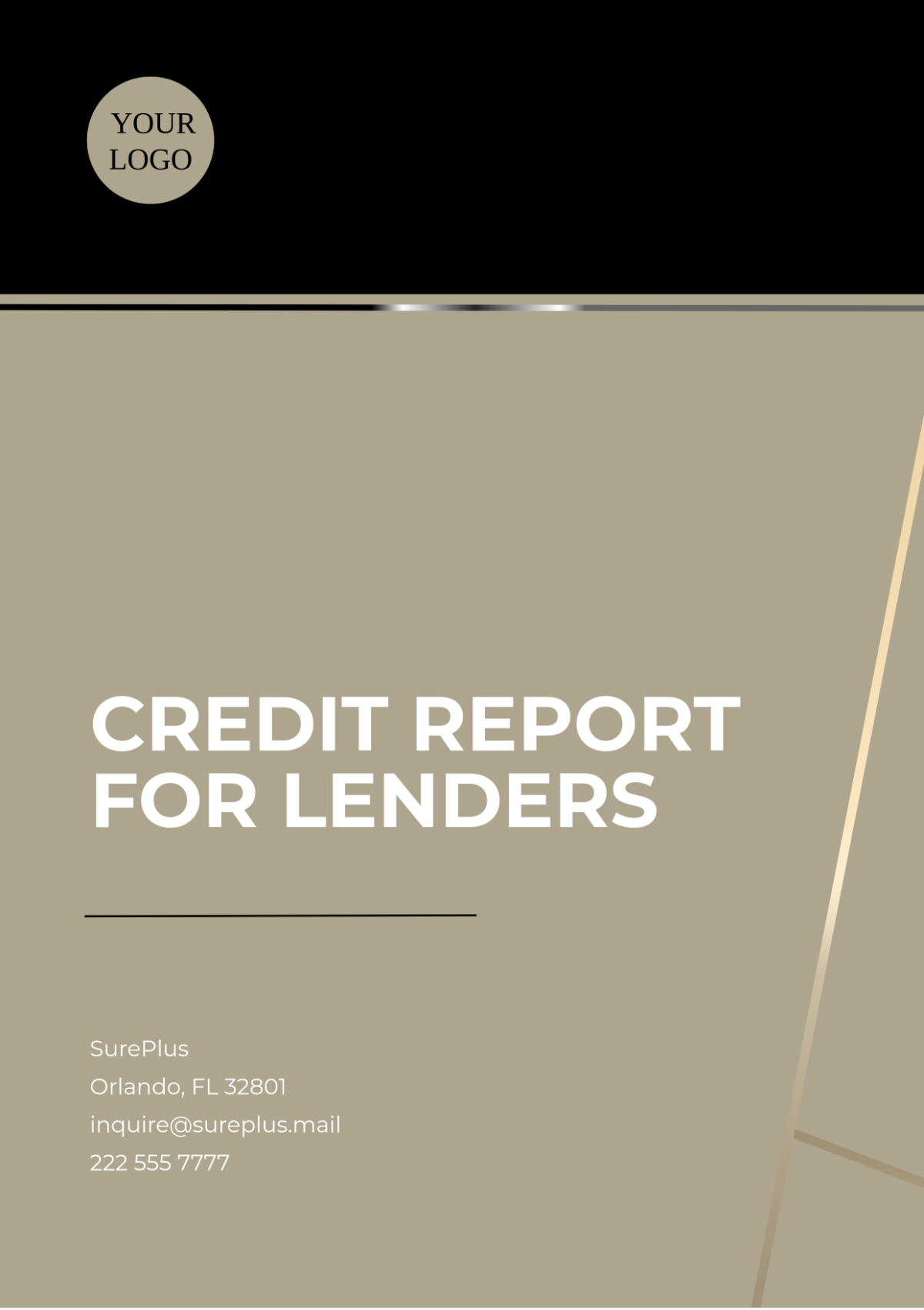 Credit Report for Lenders Template - Edit Online & Download