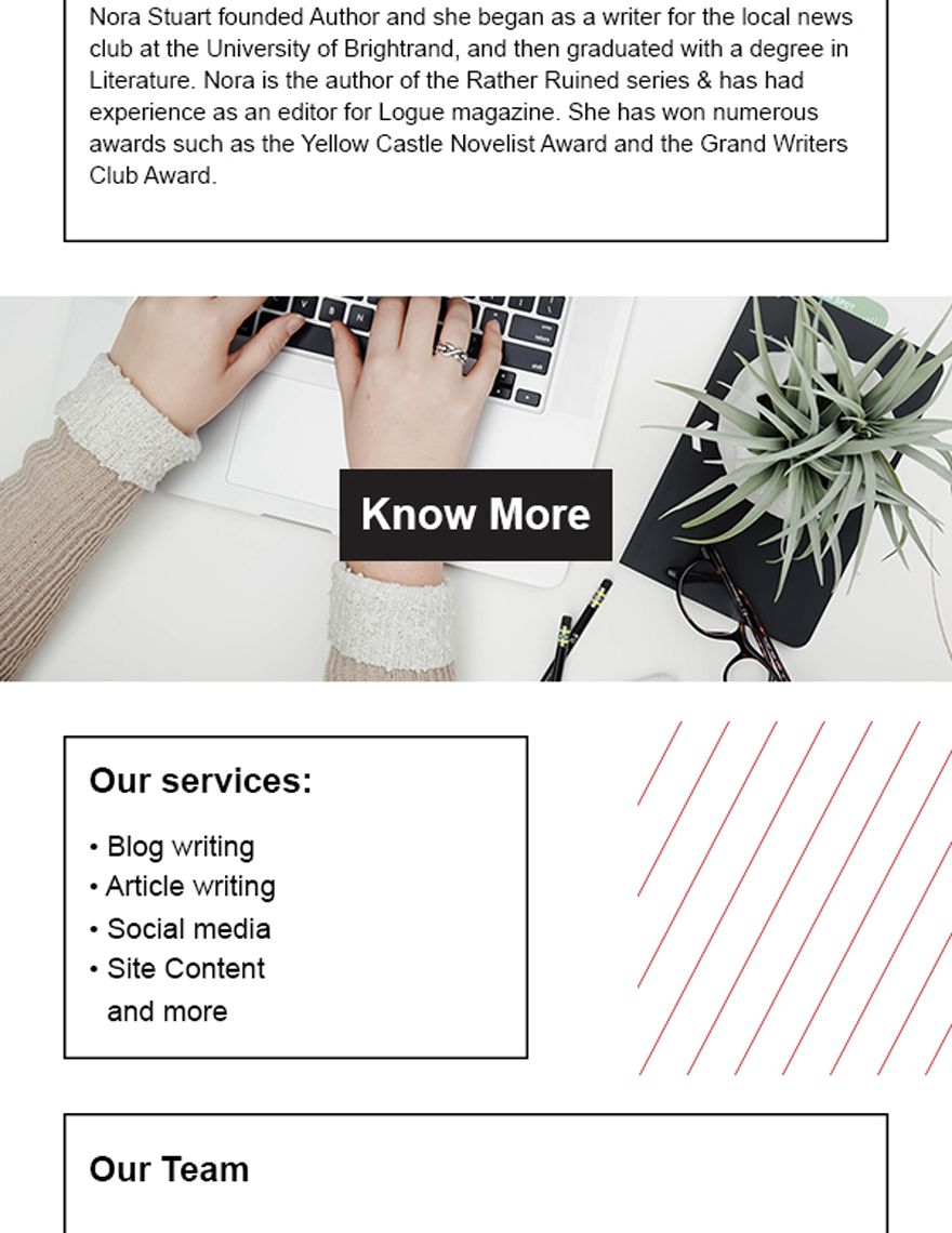 Author Email Newsletter Template