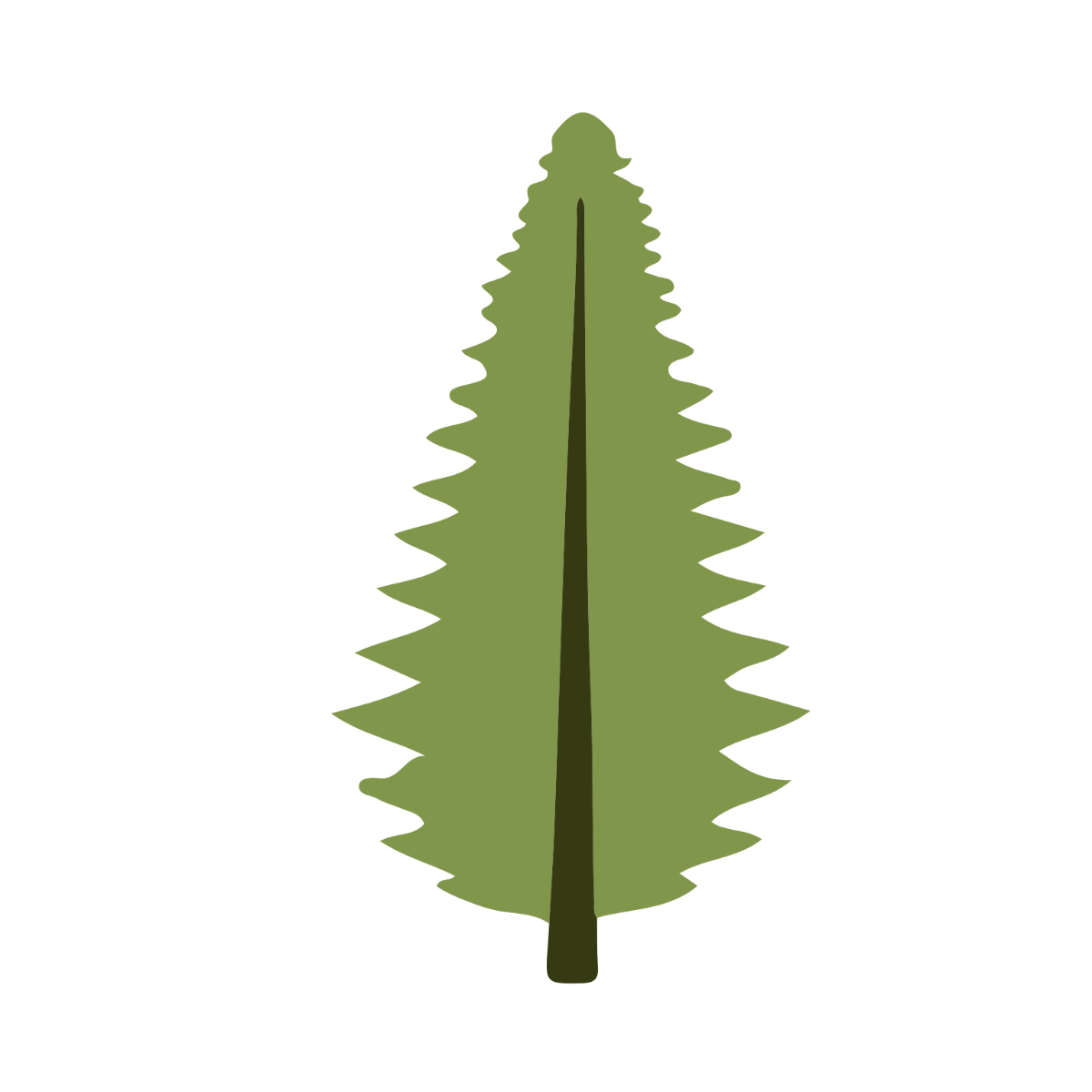 Simple Pine Clipart