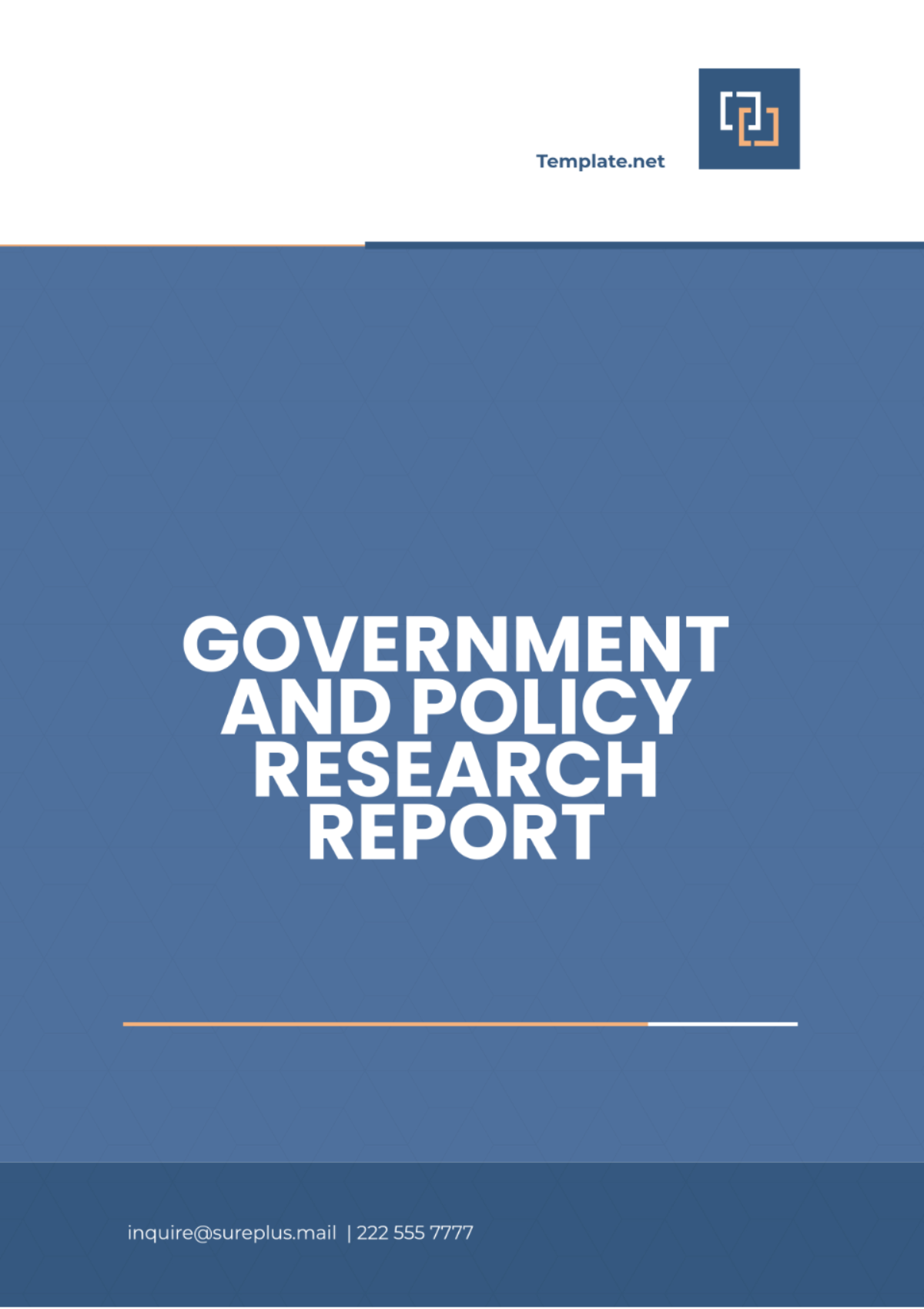 Government and Policy Research Report Template