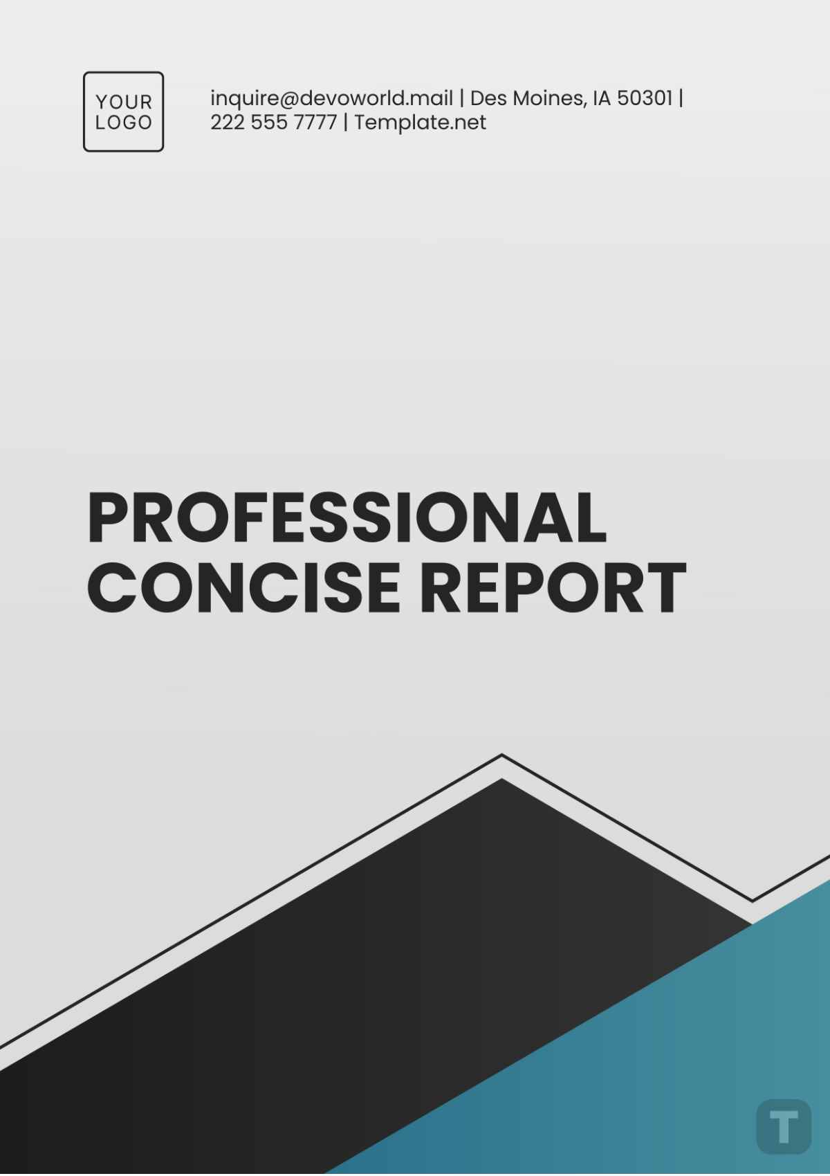 Professional Concise Report Template - Edit Online & Download