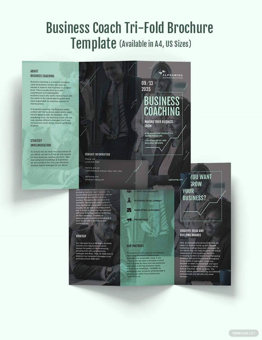 Business Coach Tri-Fold Brochure Template