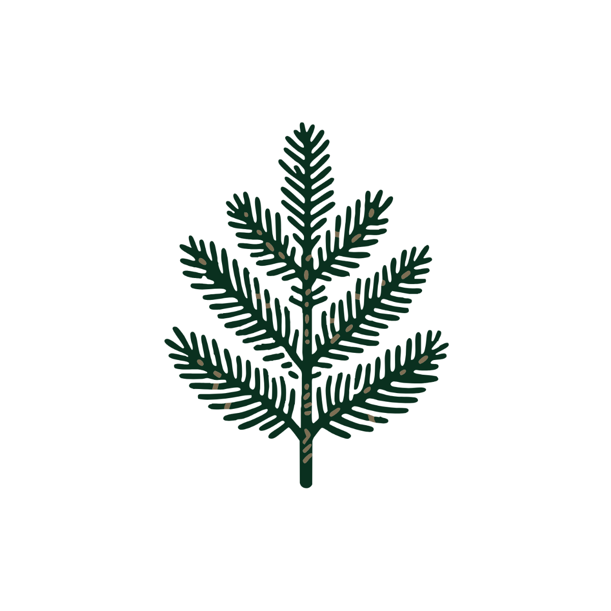 Pine Branch Clipart - Edit Online | Template.net