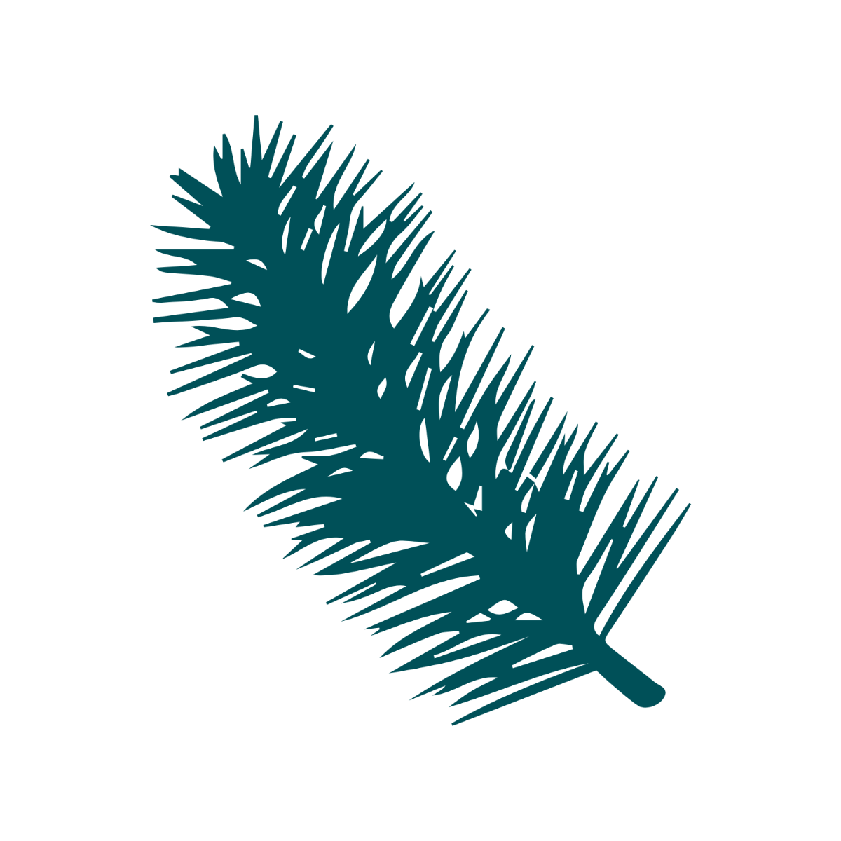 Pine Needles Clipart